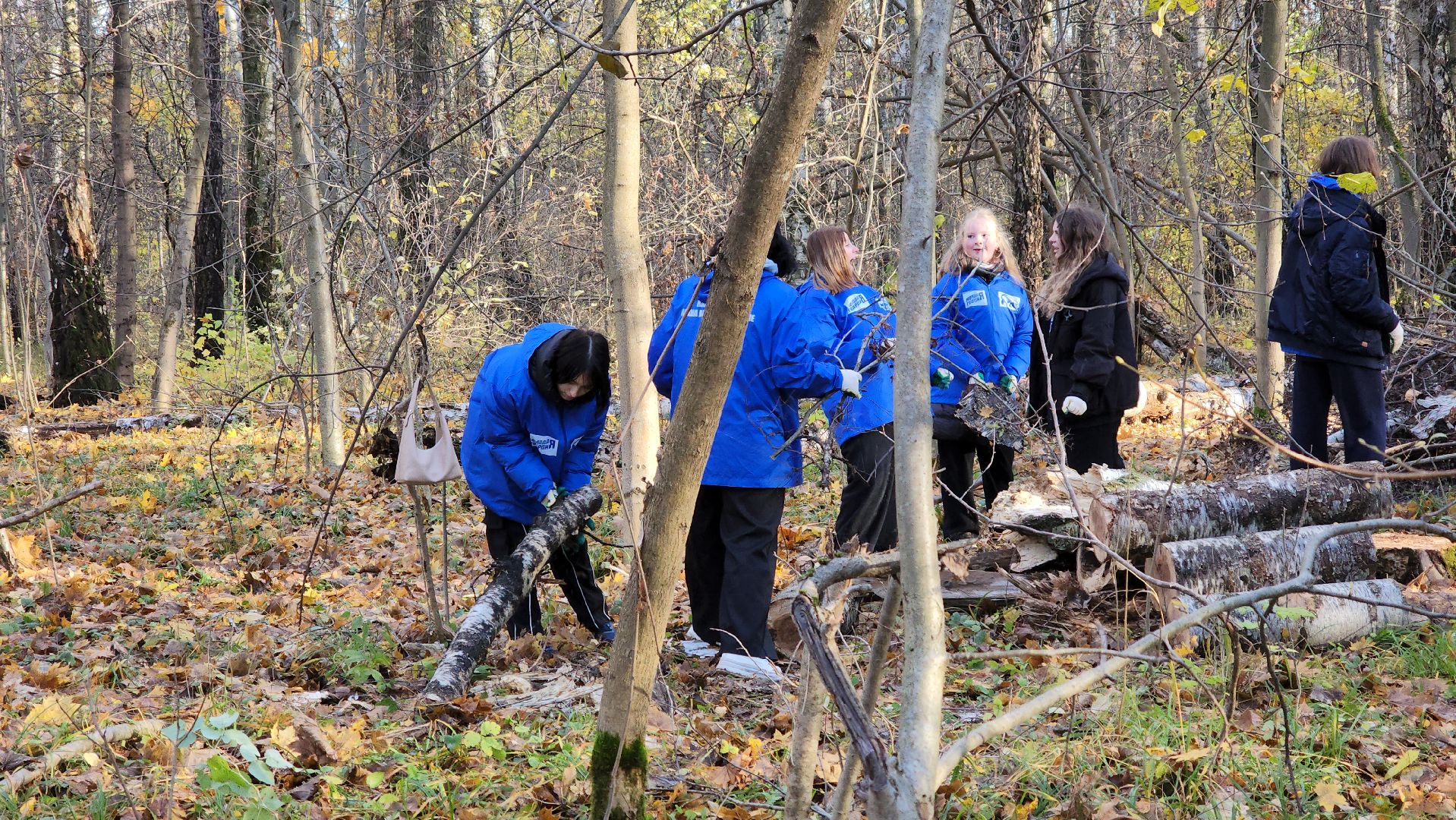 кашира, субботник, чистый лес, благоустройство, вертикалки,