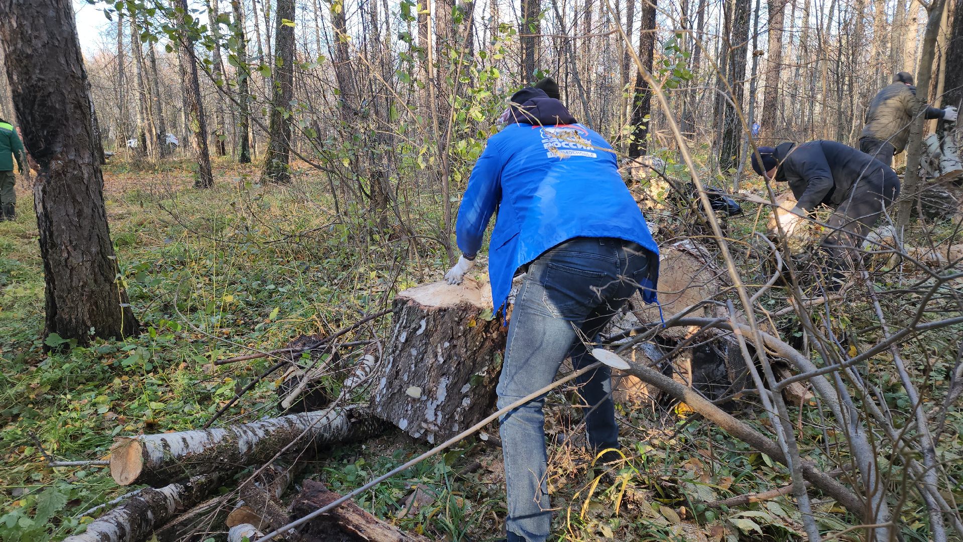 кашира, субботник, чистый лес, благоустройство, вертикалки,
