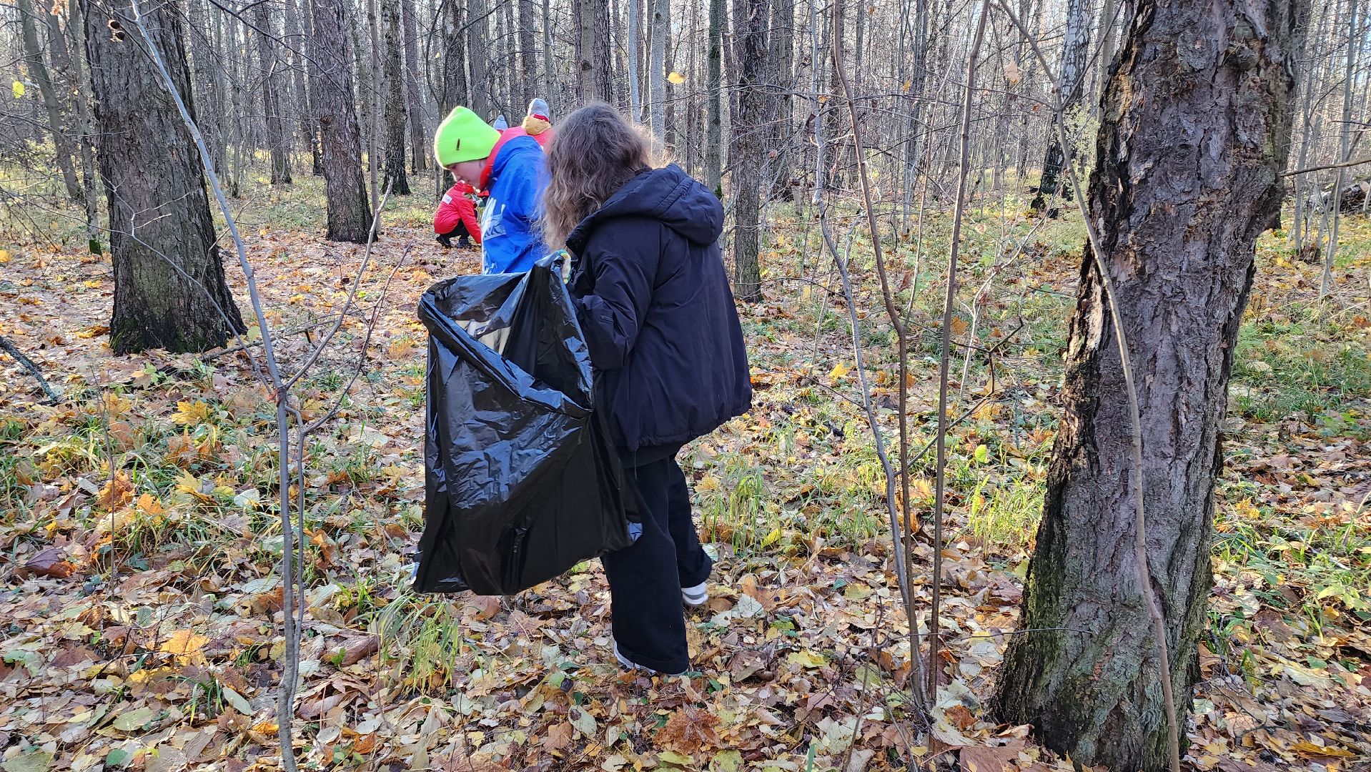 кашира, субботник, чистый лес, благоустройство, вертикалки,
