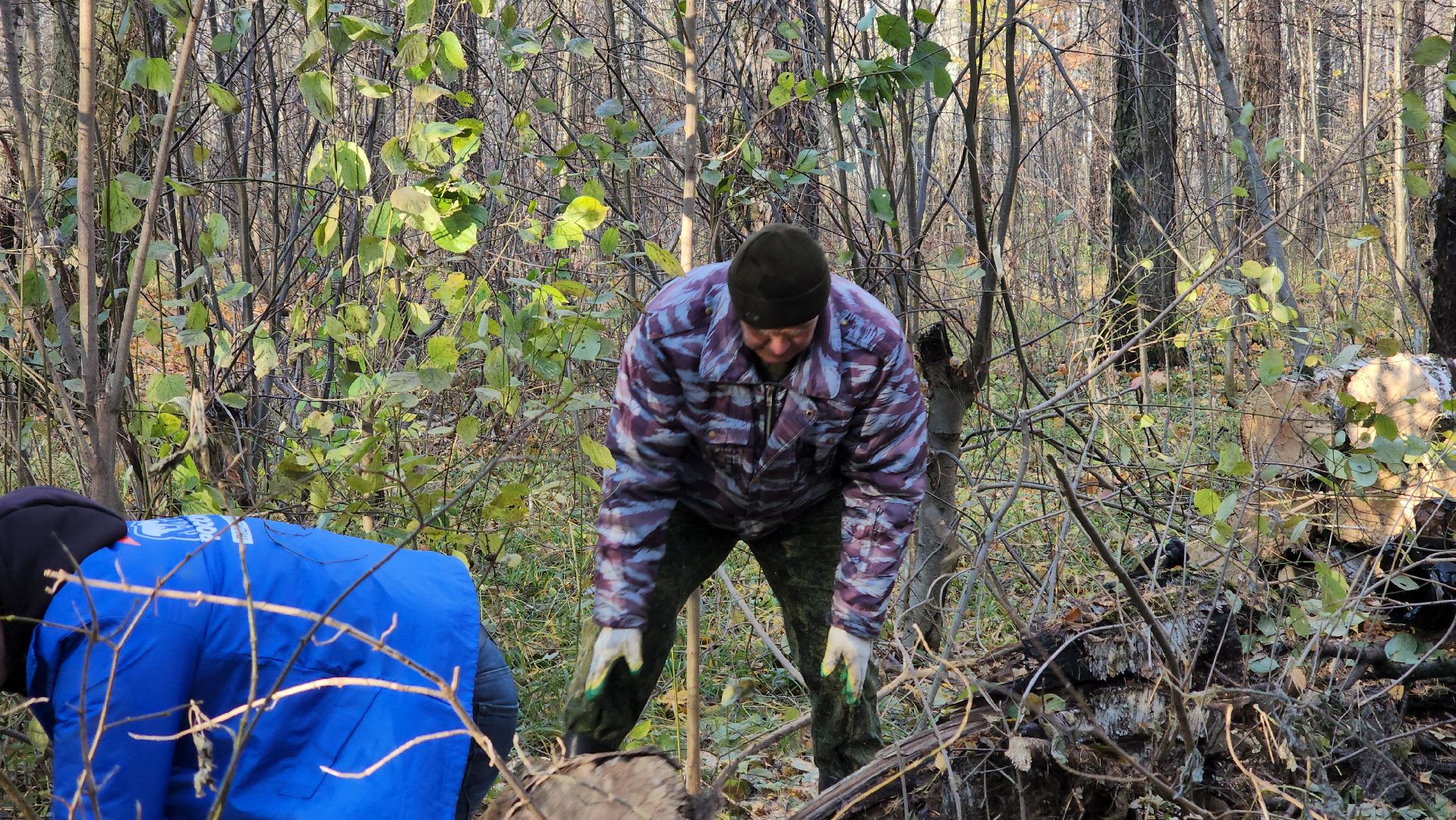 кашира, субботник, чистый лес, благоустройство, вертикалки,