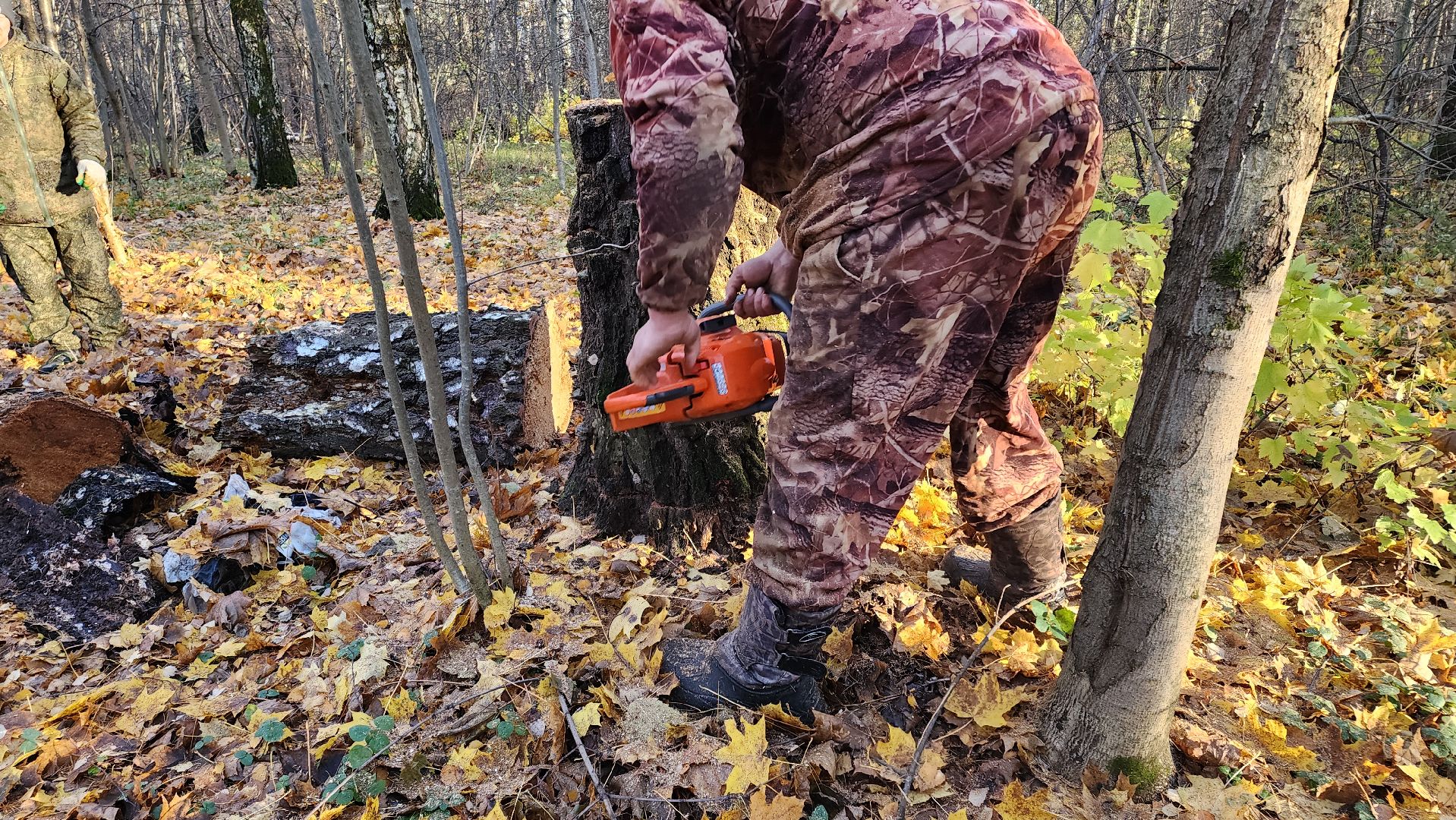кашира, субботник, чистый лес, благоустройство, вертикалки,