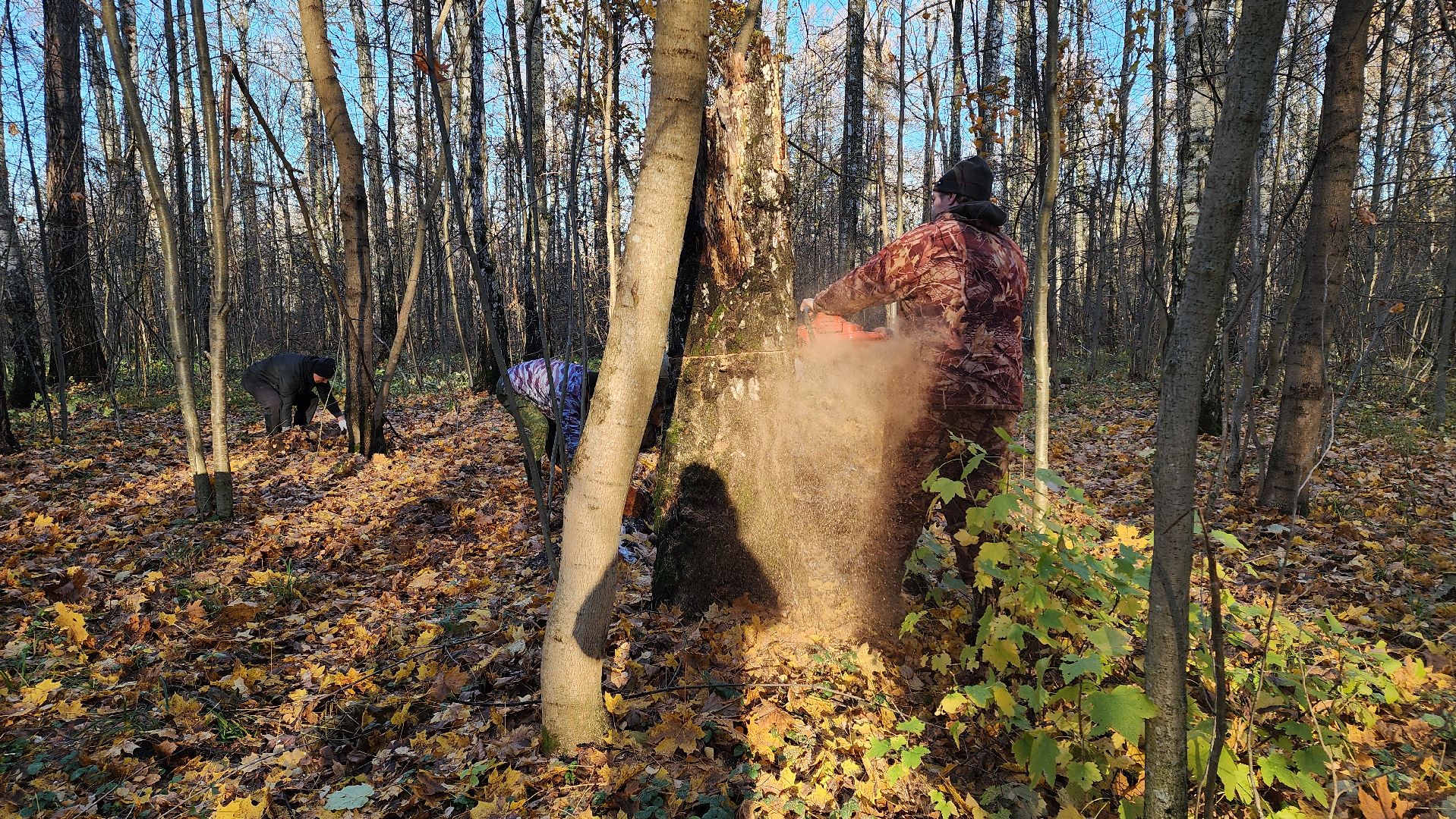 кашира, субботник, чистый лес, благоустройство, вертикалки,