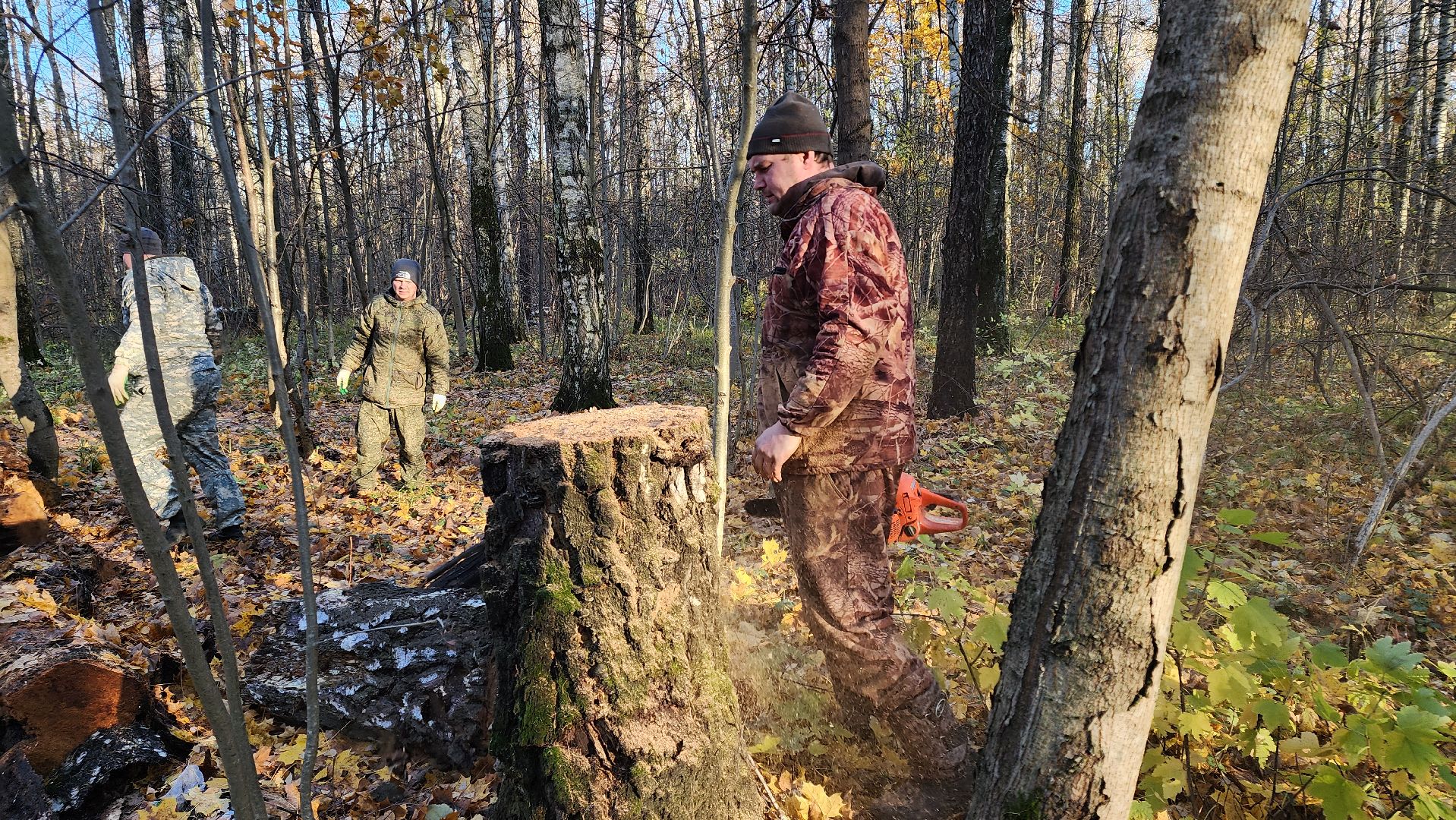 кашира, субботник, чистый лес, благоустройство, вертикалки,