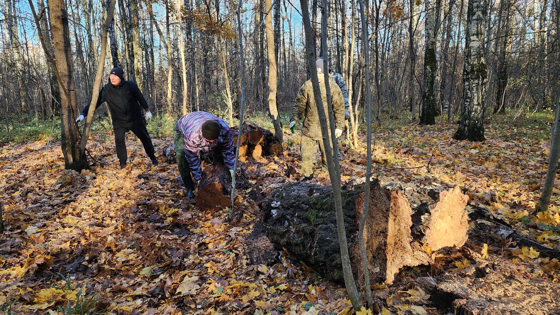 кашира, субботник, чистый лес, благоустройство, вертикалки,