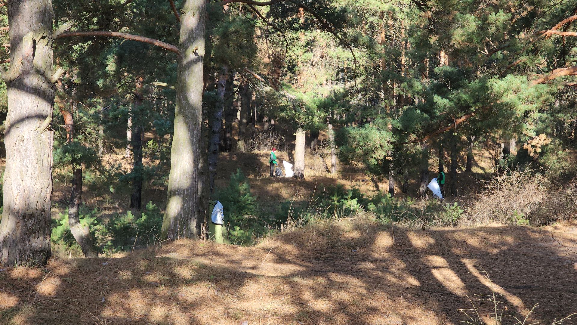 ступино, экология, субботник, вертикалки,