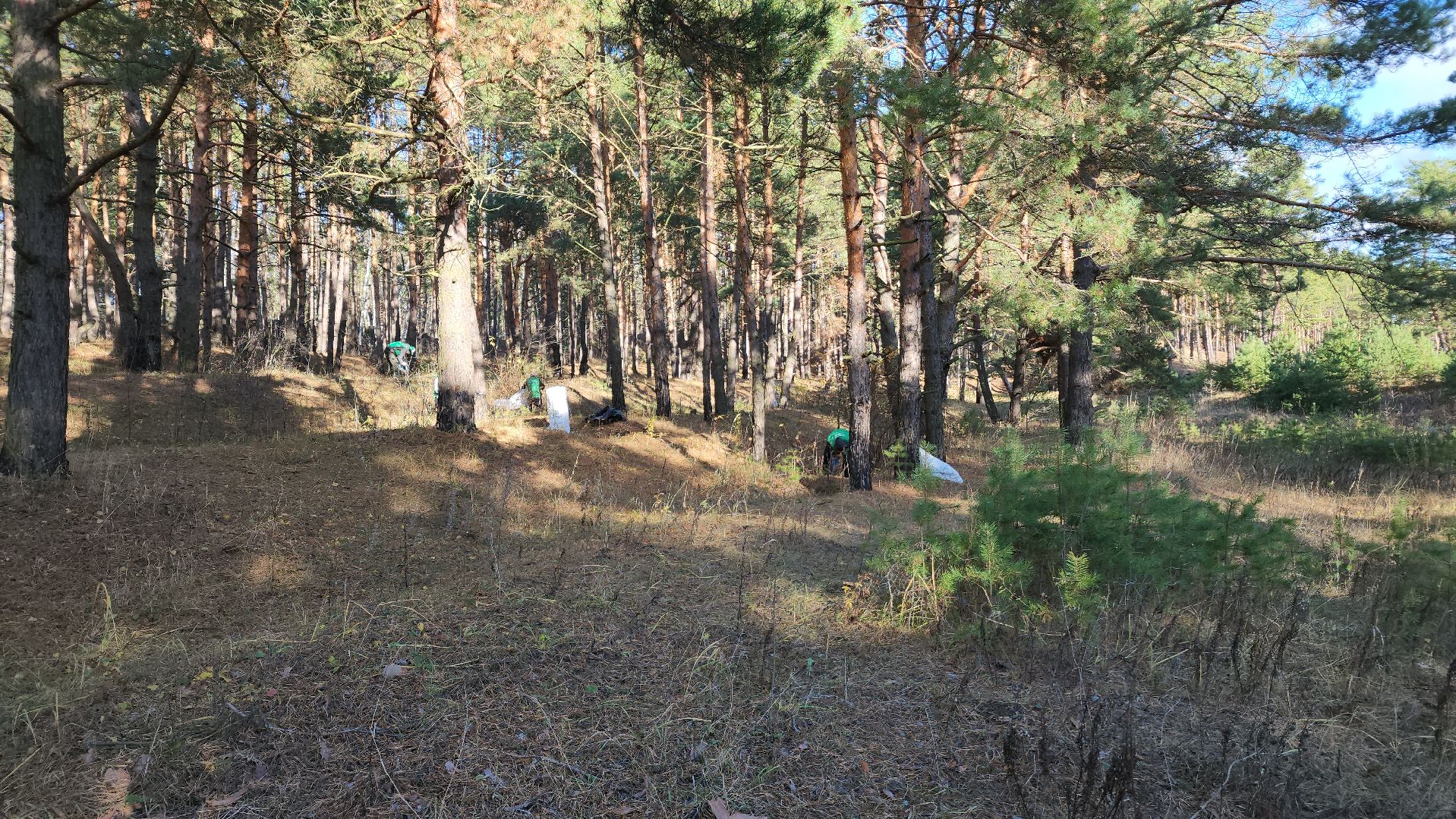 ступино, экология, субботник, вертикалки,