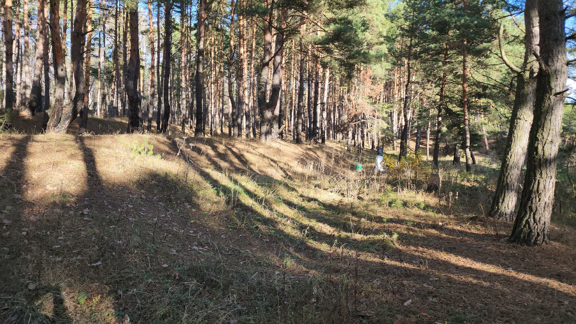 ступино, экология, субботник, вертикалки,