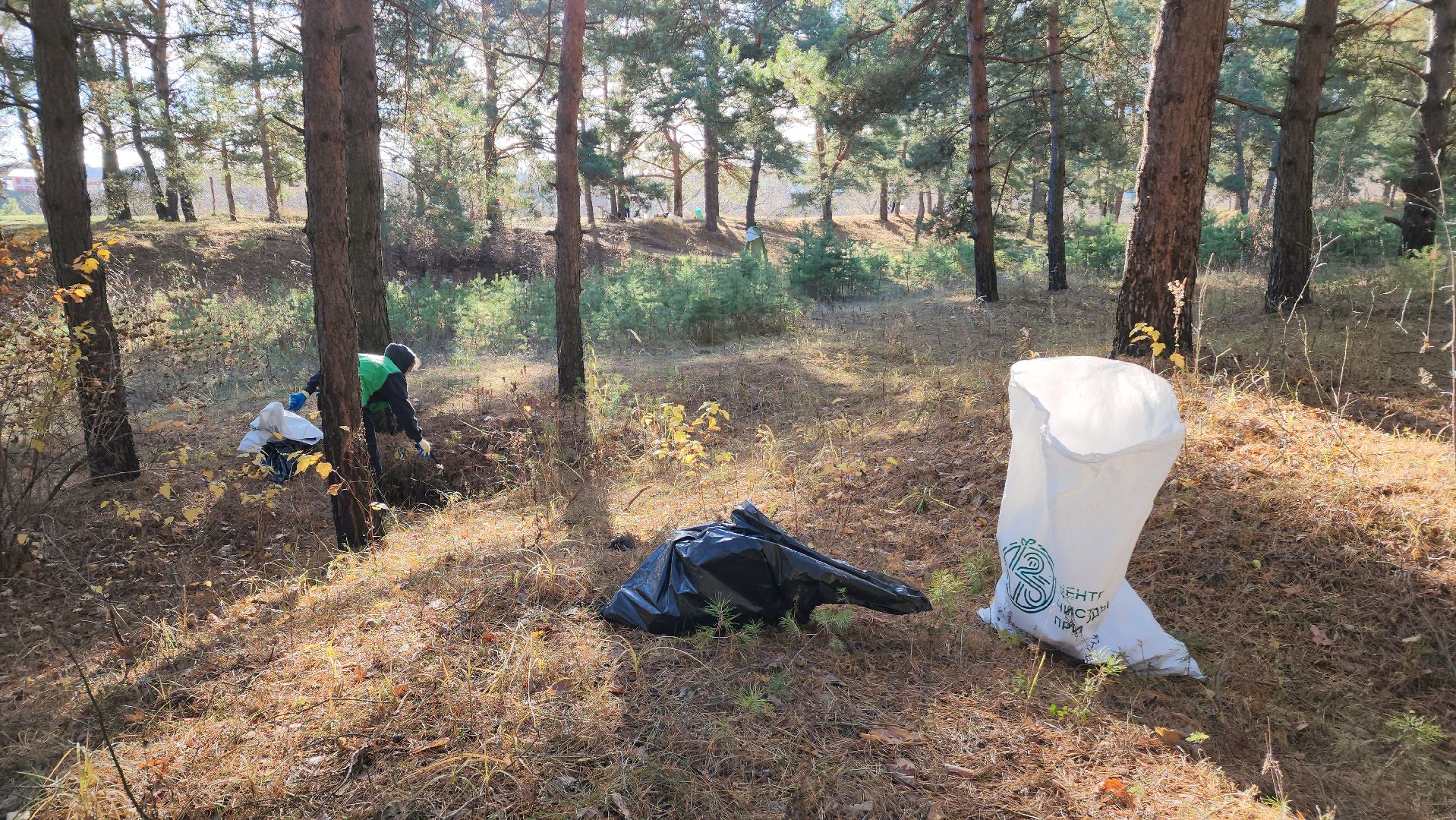 ступино, экология, субботник, вертикалки,