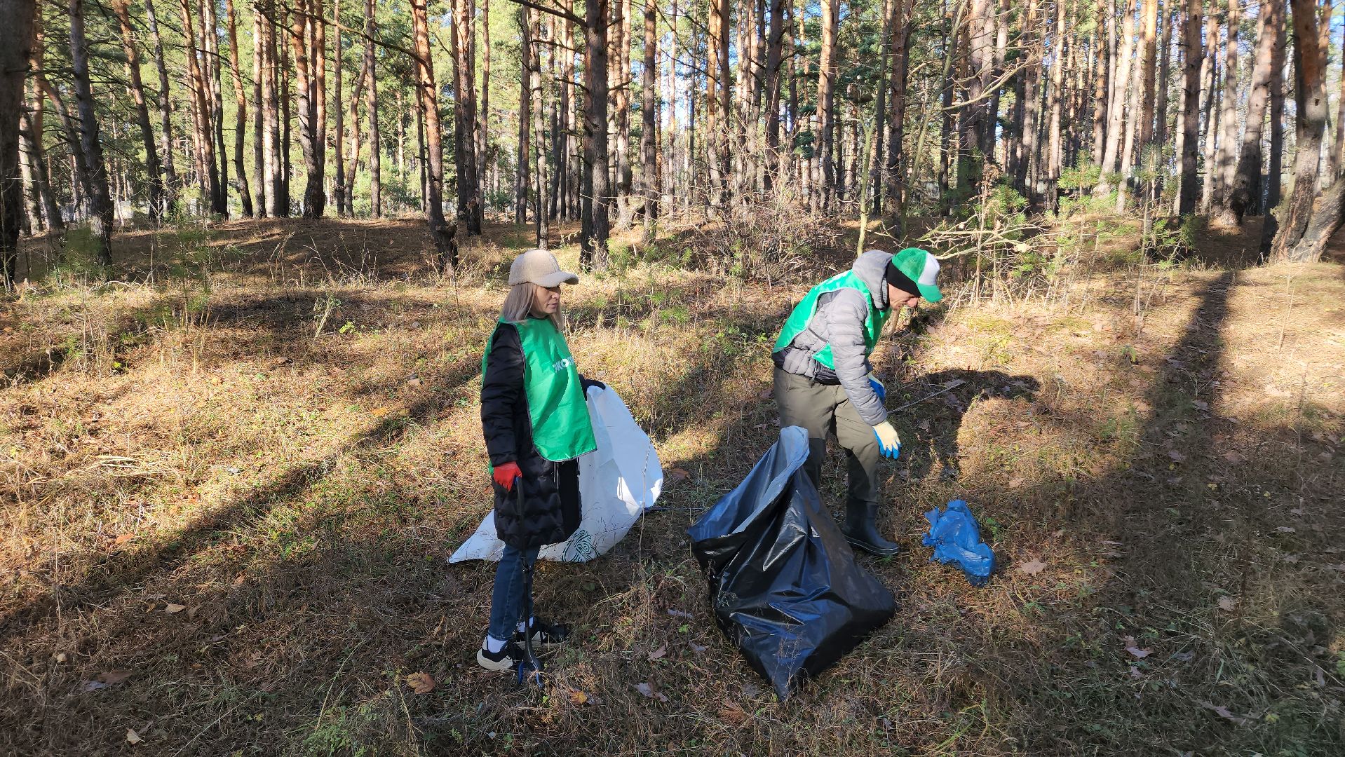 ступино, экология, субботник, вертикалки,