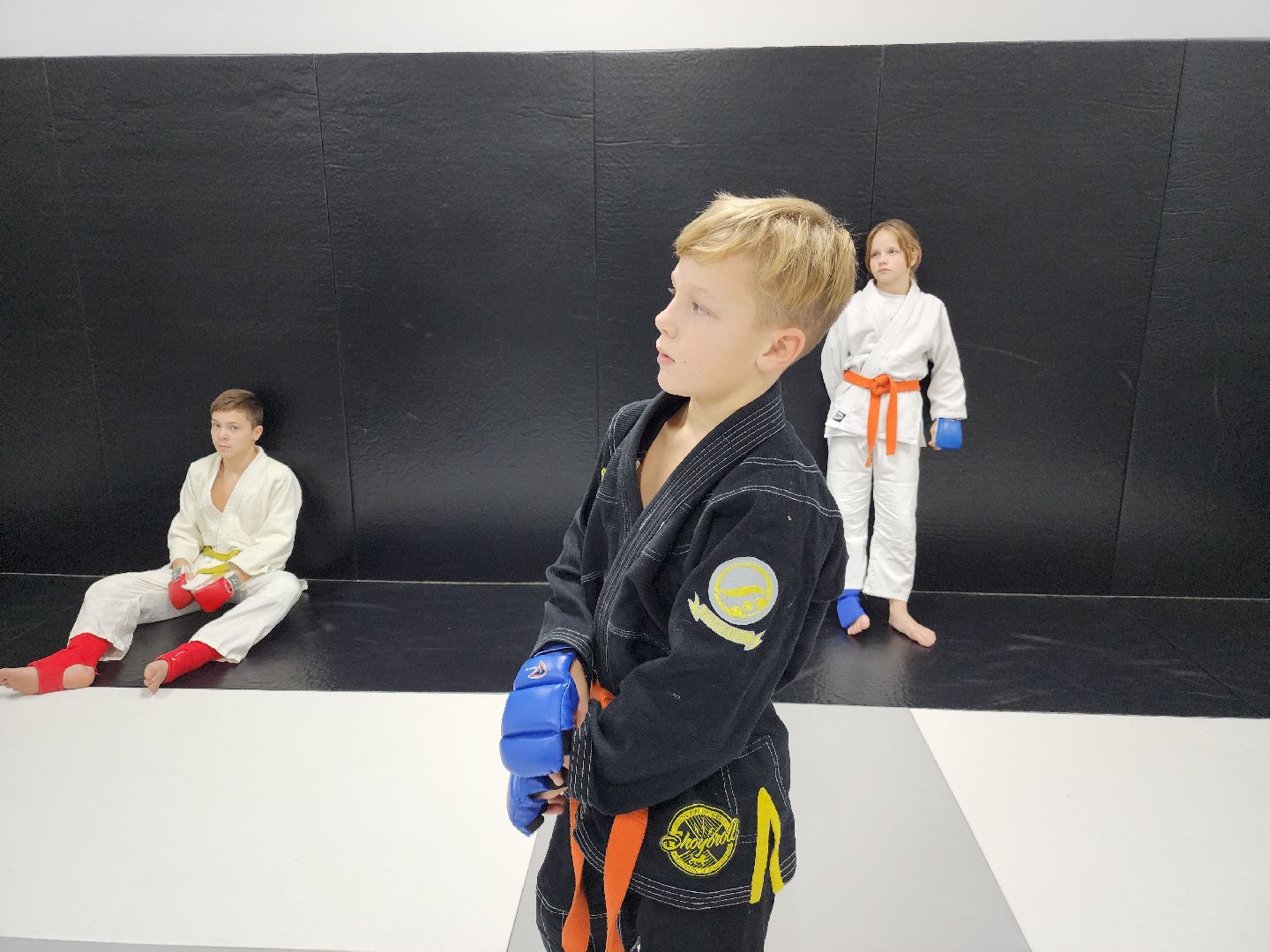 вертикалки, джиу-джитсу, чемпион мира, куровское, орехово-зуевский округ,