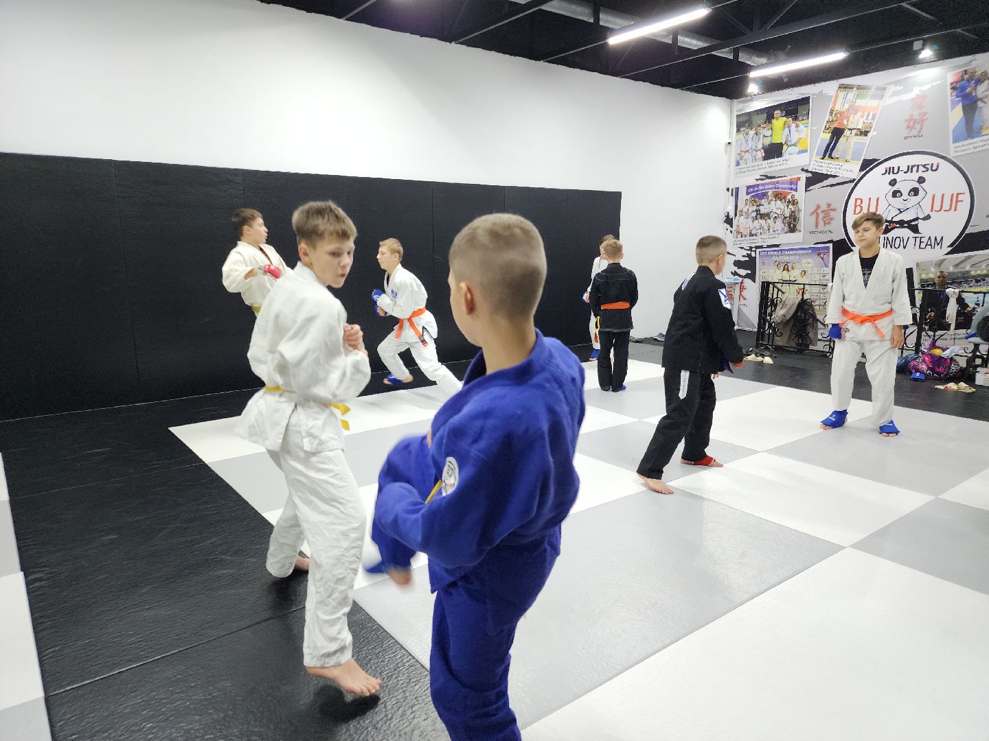 вертикалки, джиу-джитсу, чемпион мира, куровское, орехово-зуевский округ,