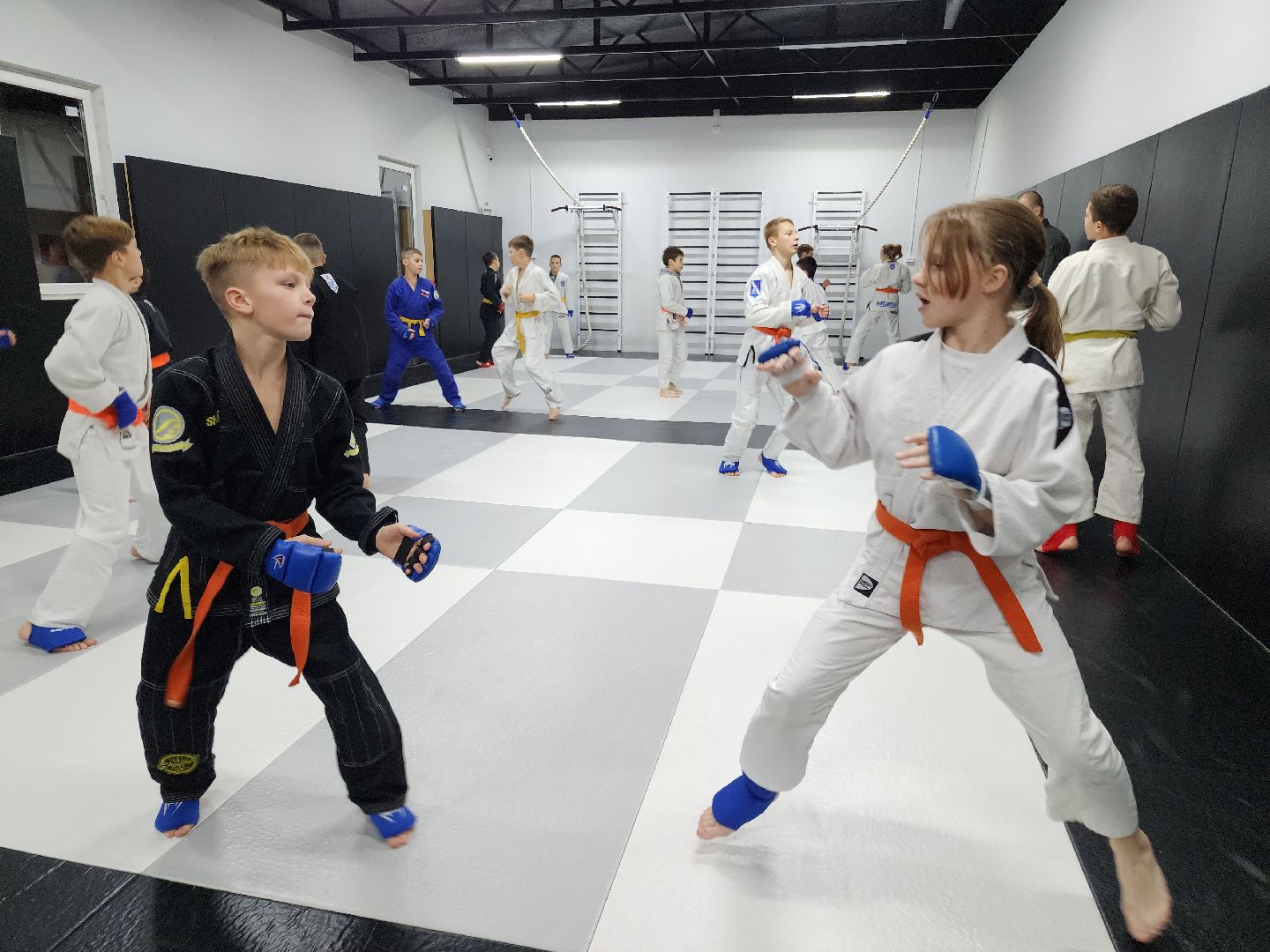 вертикалки, джиу-джитсу, чемпион мира, куровское, орехово-зуевский округ,