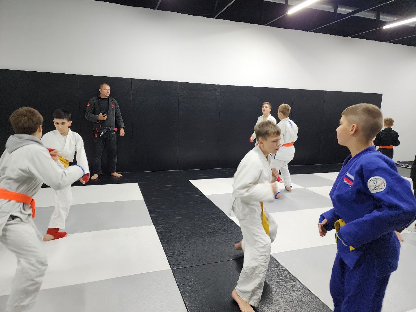 вертикалки, джиу-джитсу, чемпион мира, куровское, орехово-зуевский округ,