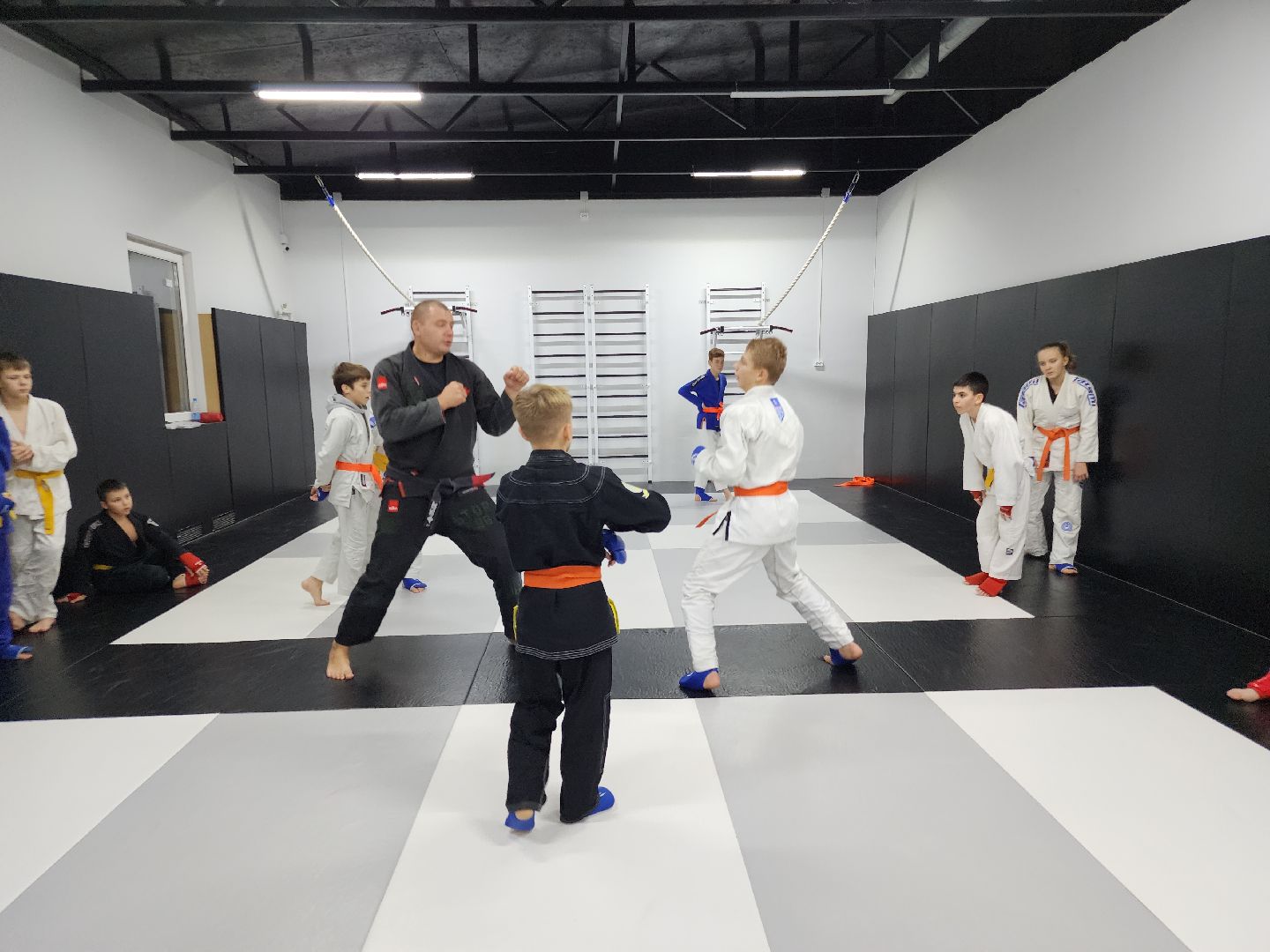 вертикалки, джиу-джитсу, чемпион мира, куровское, орехово-зуевский округ,