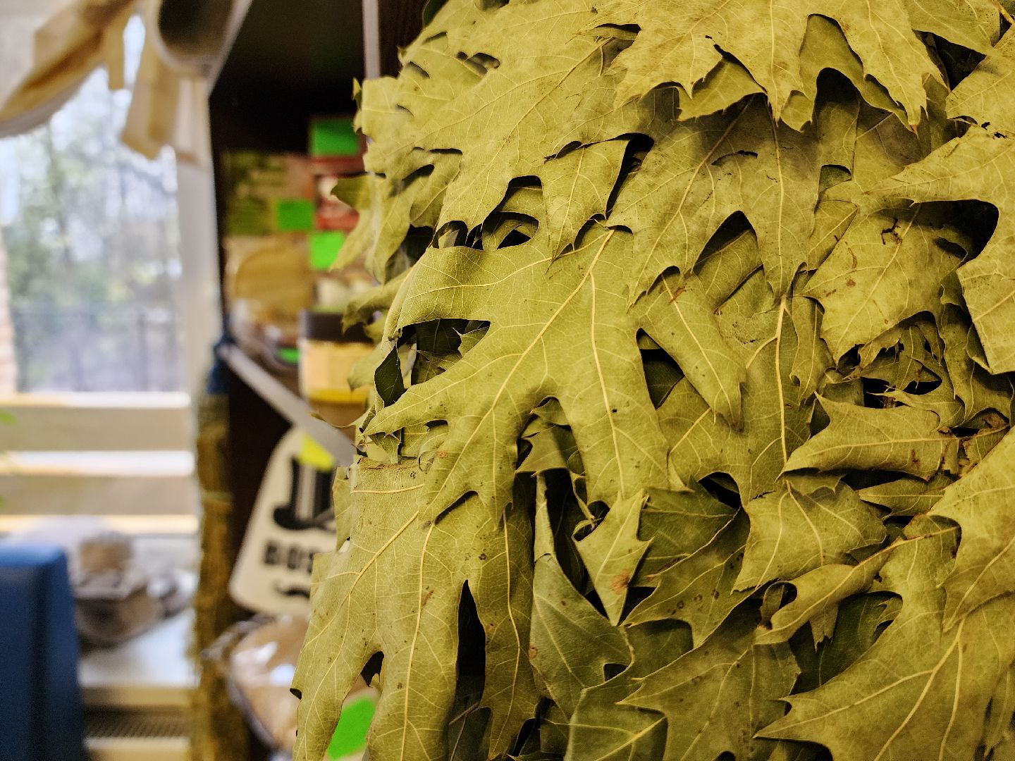 красногорск, общественная баня, выездная администрация,