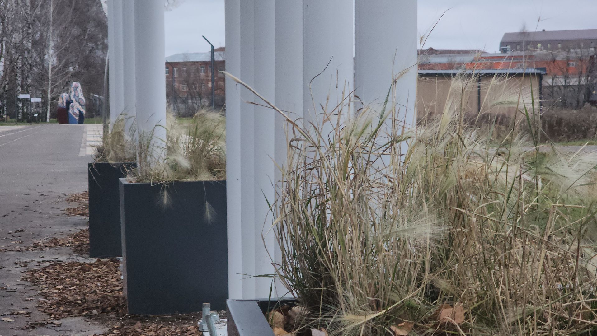 Павловский Посад, Городской округ Павловский Посад, люди, жители, парк, благоустройство,вертикалка, вертикальное видео,