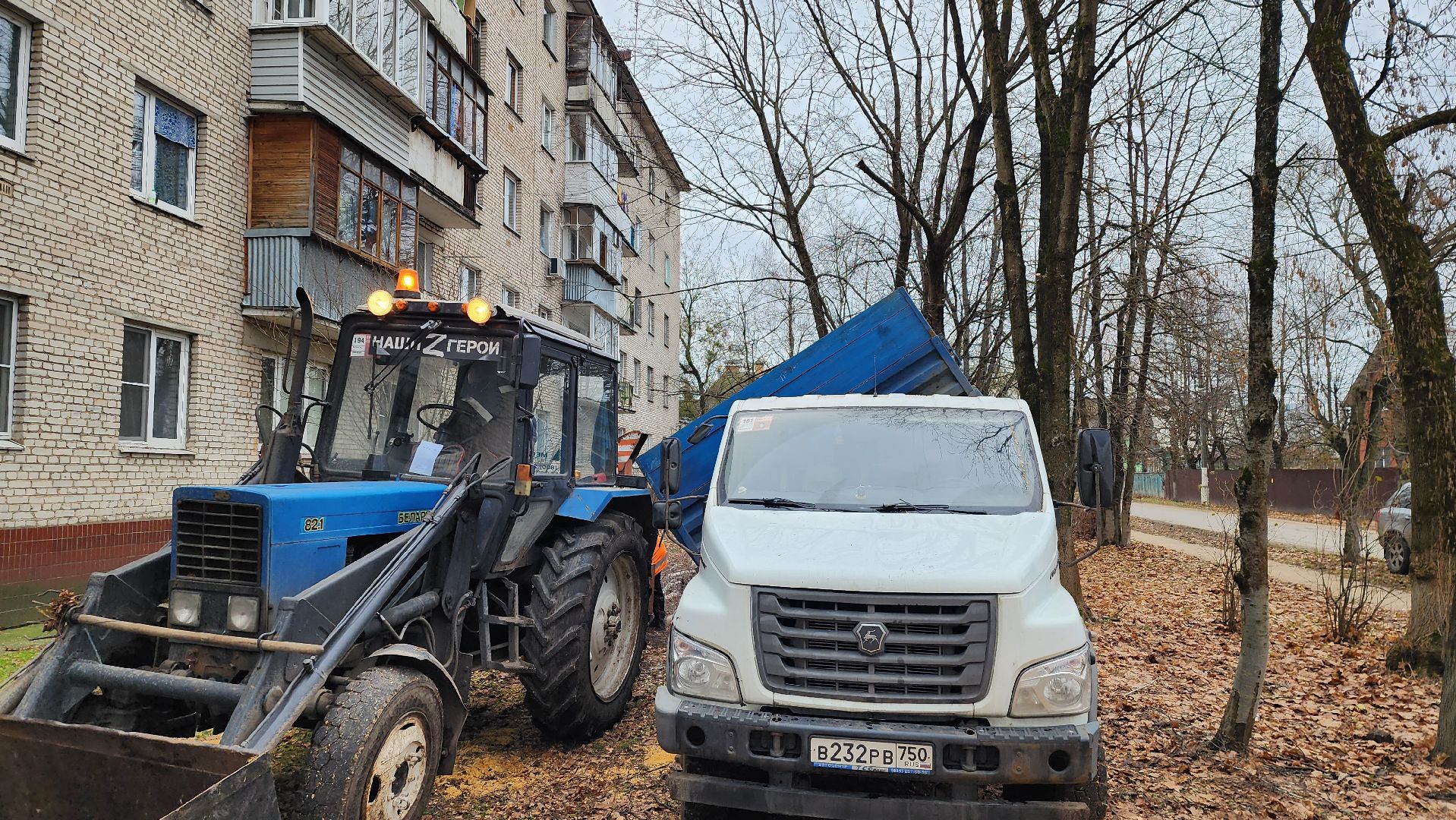 благоустройство, озеленение, коммунальная служба, вертикаль, истра,
