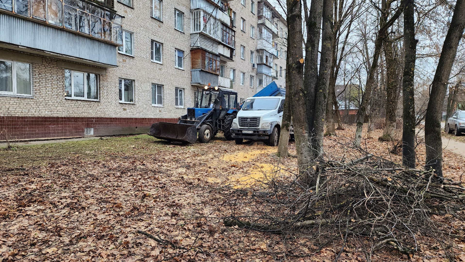 благоустройство, озеленение, коммунальная служба, вертикаль, истра,