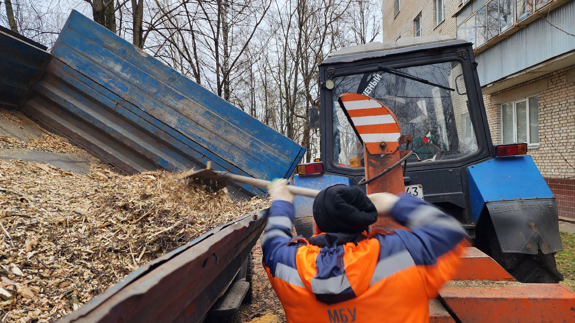 благоустройство, озеленение, коммунальная служба, вертикаль, истра,