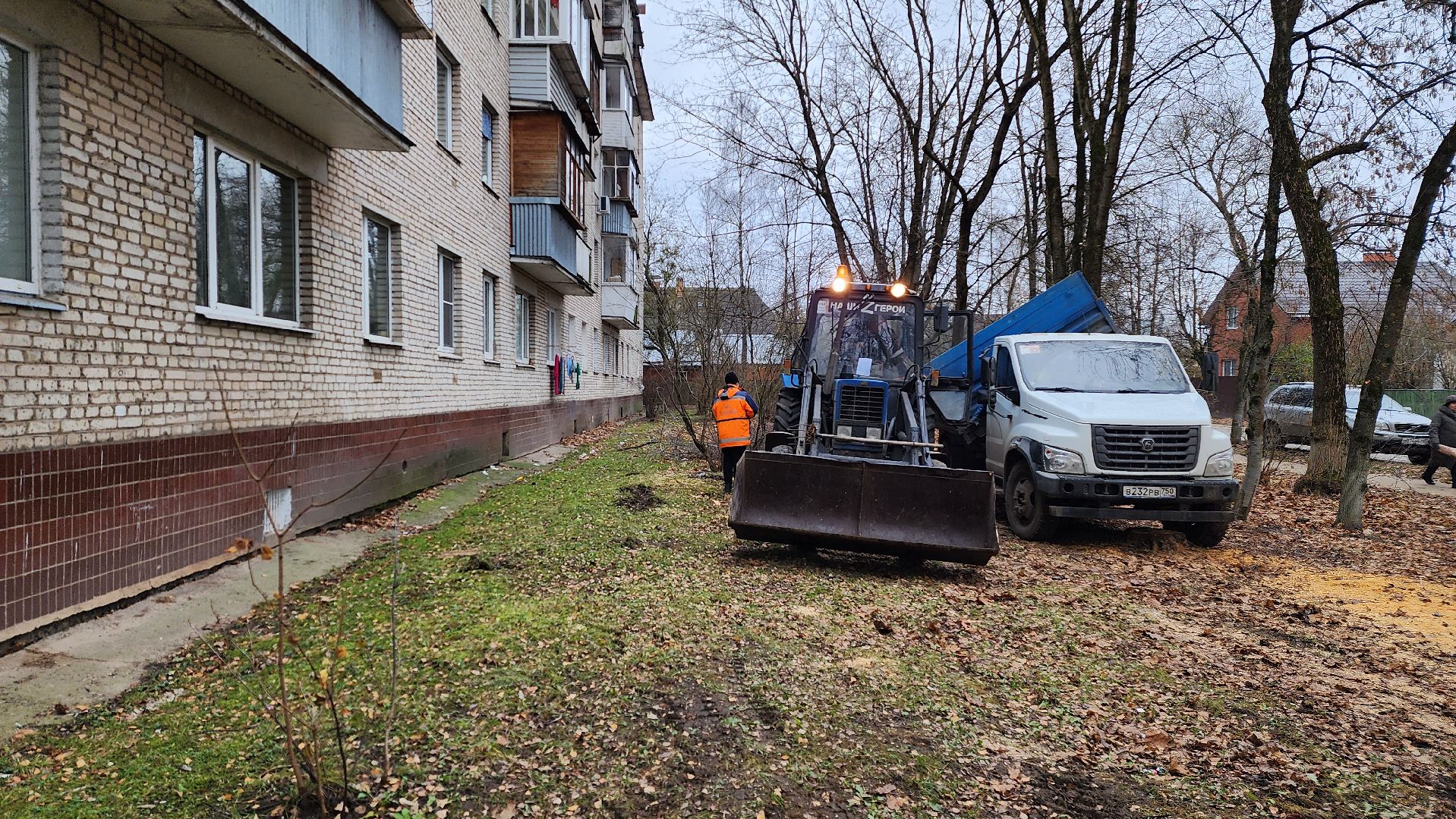 благоустройство, озеленение, коммунальная служба, вертикаль, истра,