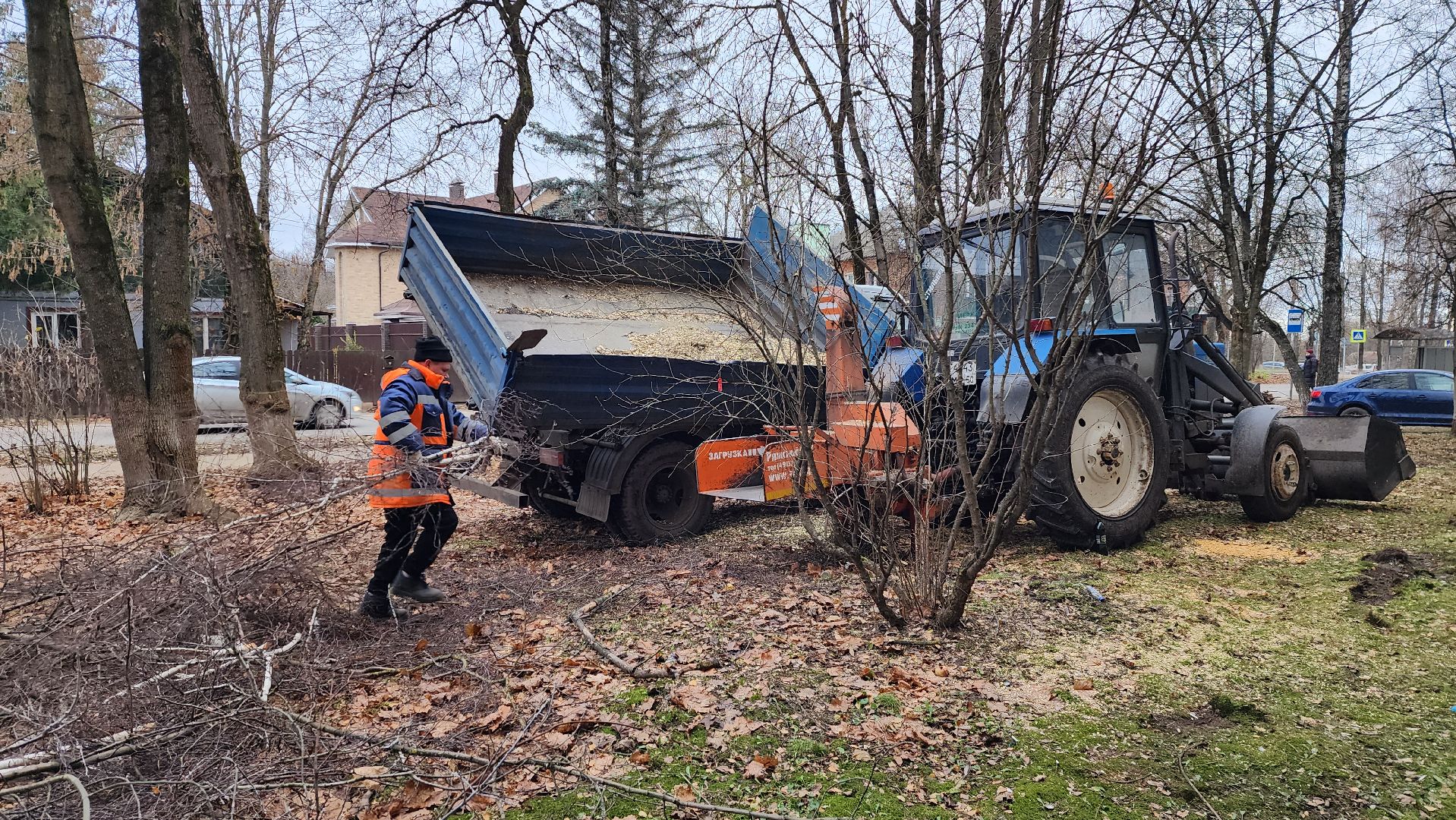 благоустройство, озеленение, коммунальная служба, вертикаль, истра,