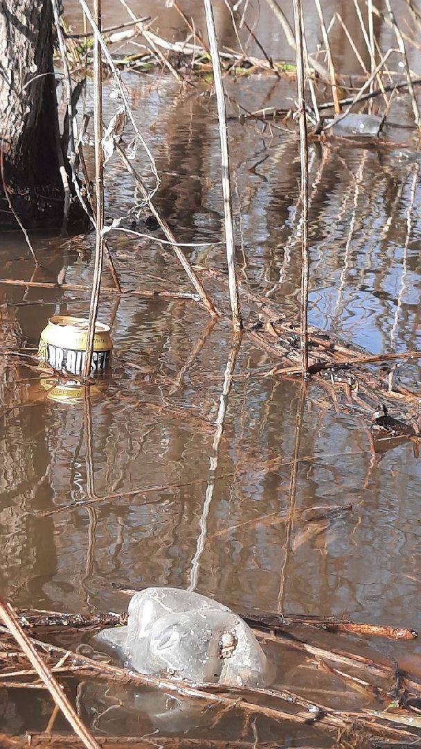 Экоактивисты, министерство экологии, сплавы, очистка Москвы-реки