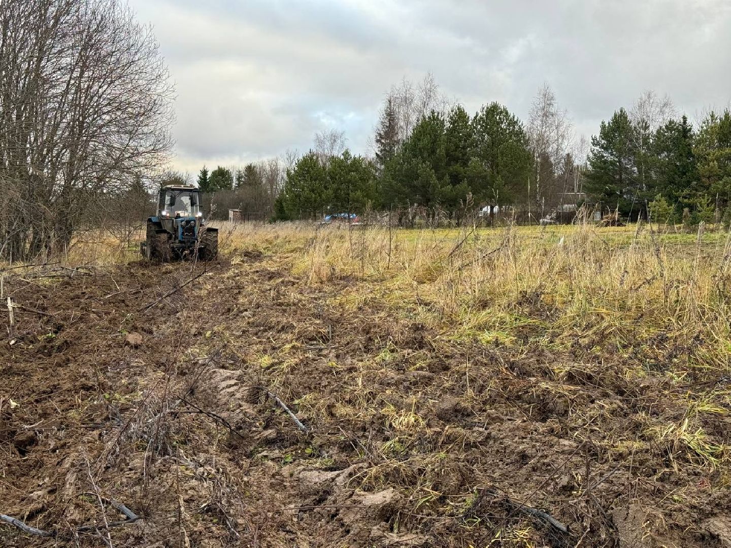 можайск, можайский городской округ, подмосковье, минполосы, опашка лесов, пожарная безопасность, безопасность населения, экология, вертикалки,