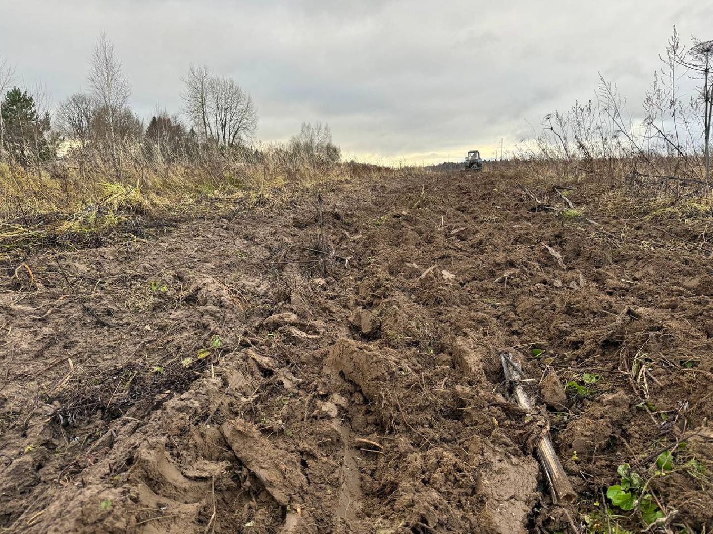 можайск, можайский городской округ, подмосковье, минполосы, опашка лесов, пожарная безопасность, безопасность населения, экология, вертикалки,