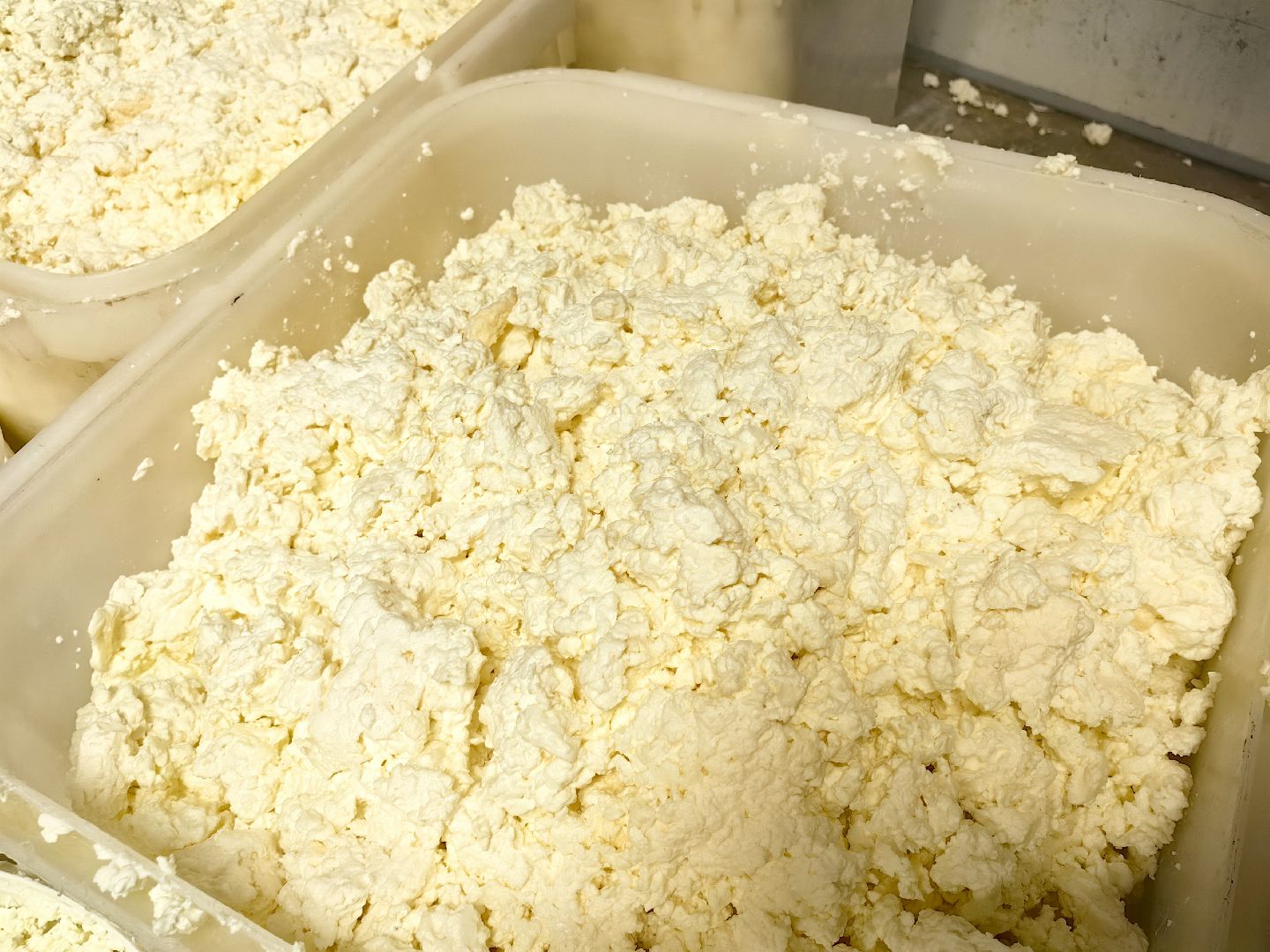 продукция, творог, масло, молоко, ферма, надой, корм, субсидии,