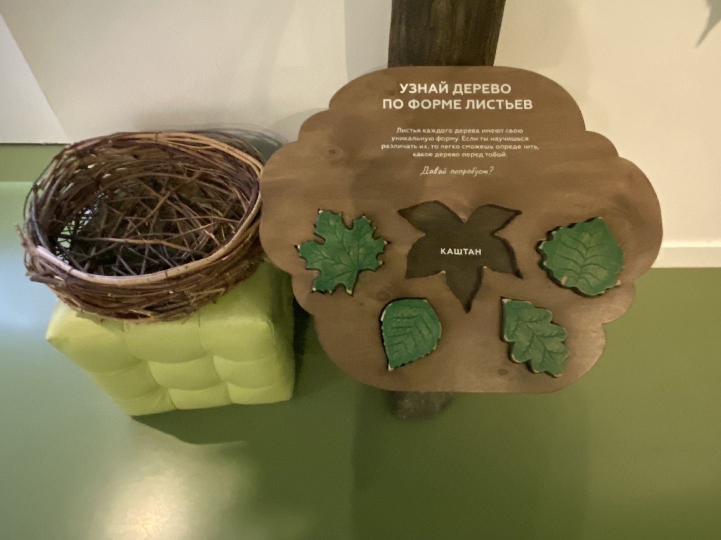 Музей, Новый Иерусалим, Истра, Экспонариум,