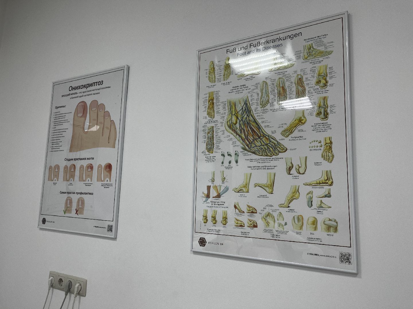 волоколамск, помощь пожилым, индивидуальные предприниматели, социальное предпринимательство,