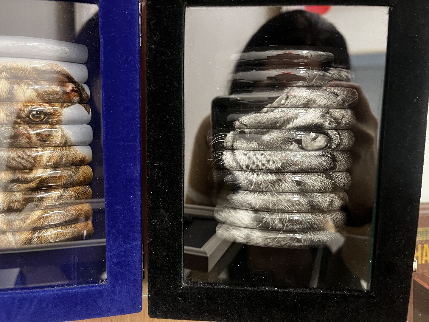 волоколамск, помощь пожилым, индивидуальные предприниматели, социальное предпринимательство,