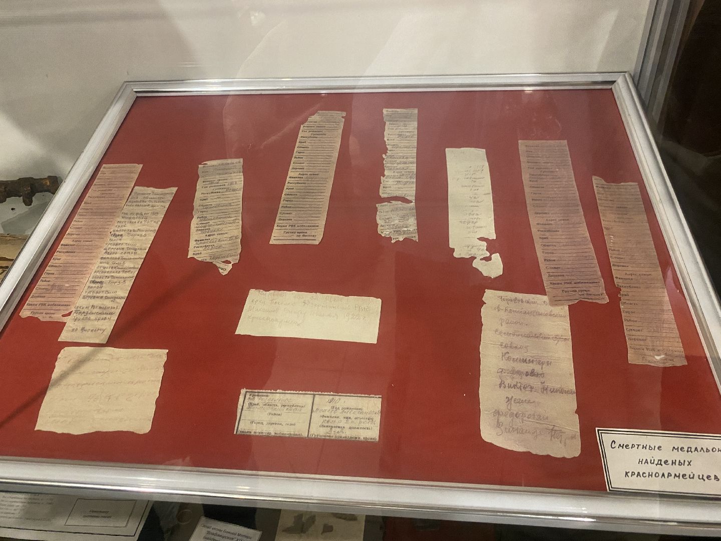 красноармейцы ВОВ, впк илья муромец, храм рвсн во власихе, вахта памяти 2024, раскопки поисковиков,Вертикалка, вертикальное видео,