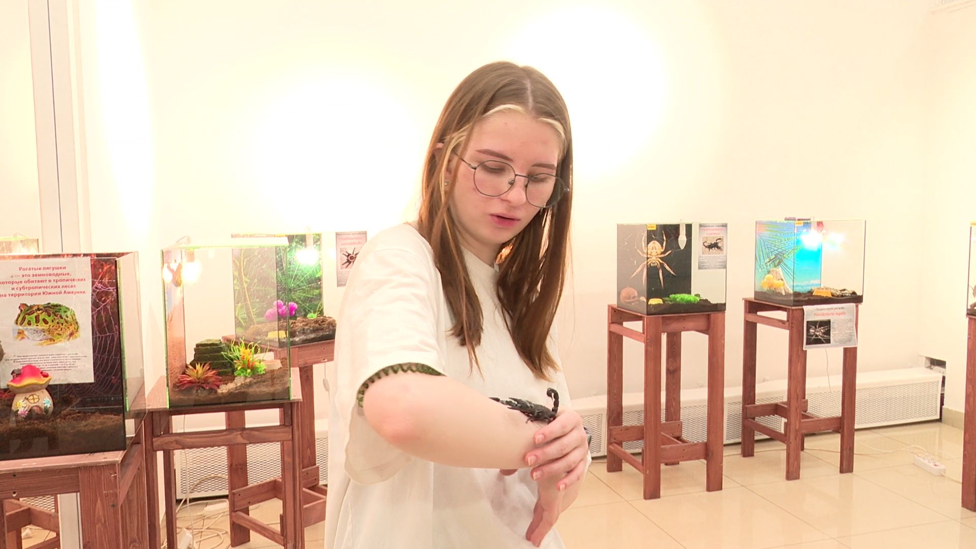 Реутов, вертикалки, культура, музей, выставка, бабочки,