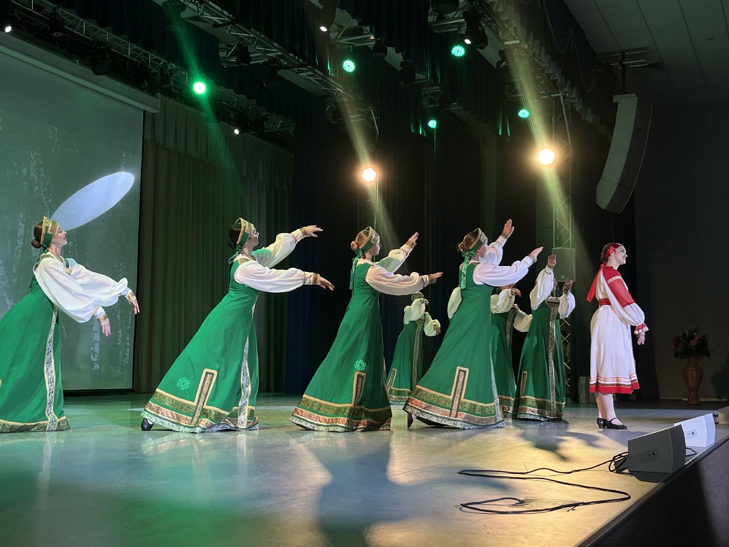 сво выставка, стипендия губернатора, хореографическая школа имени ирины зайцевой, наро-фоминск, памяти бойцов сво,вертикальное видео, вертикалка,