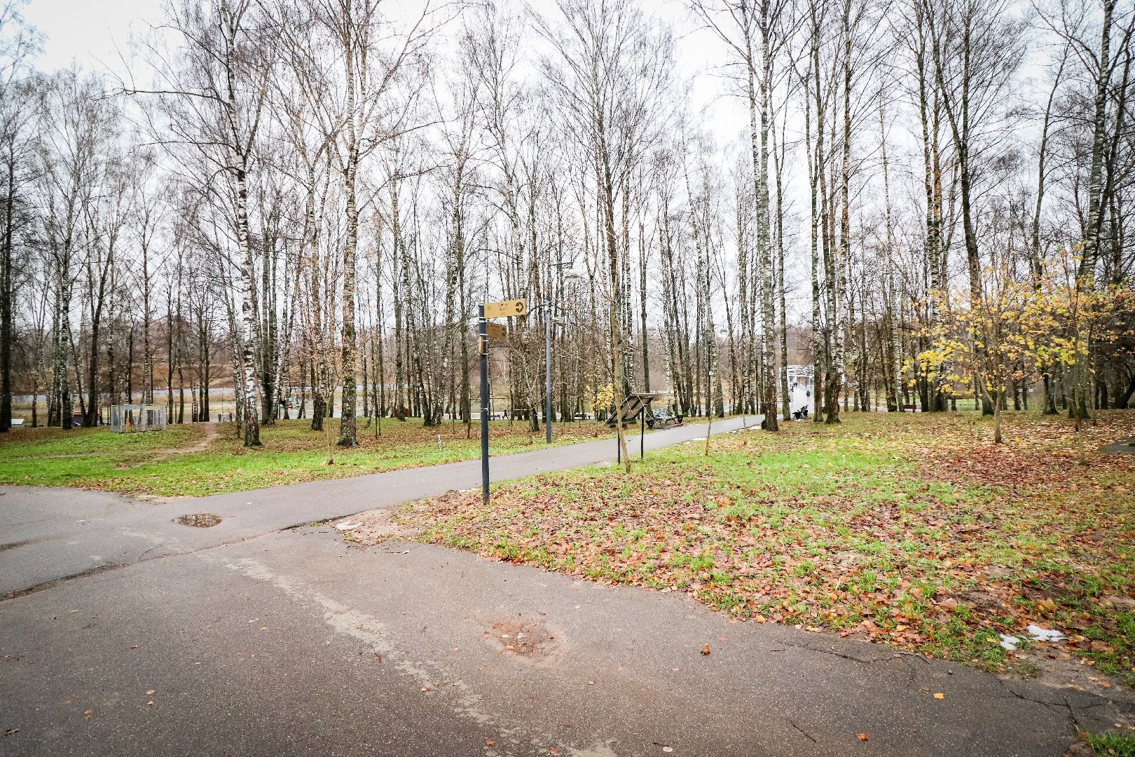 Клин, общество, ЖКХ, парки, уборка листвы, вертикалки,