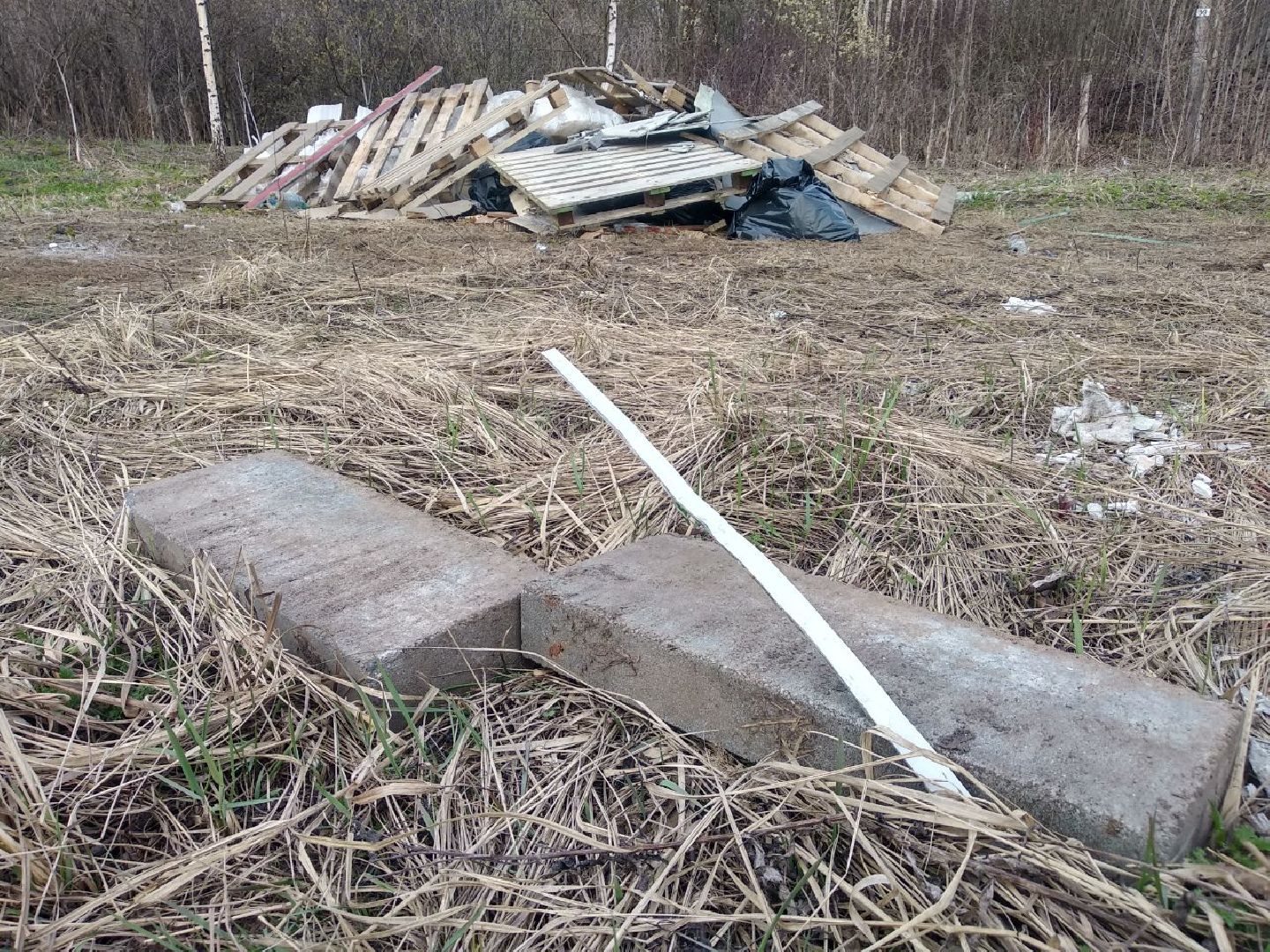 Дмитров, РЖД, Минтранс МО