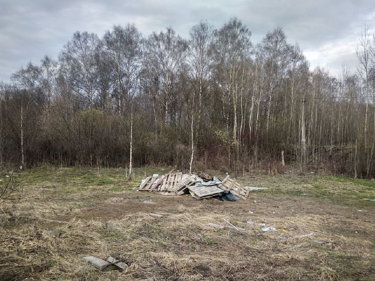 Дмитров, РЖД, Минтранс МО