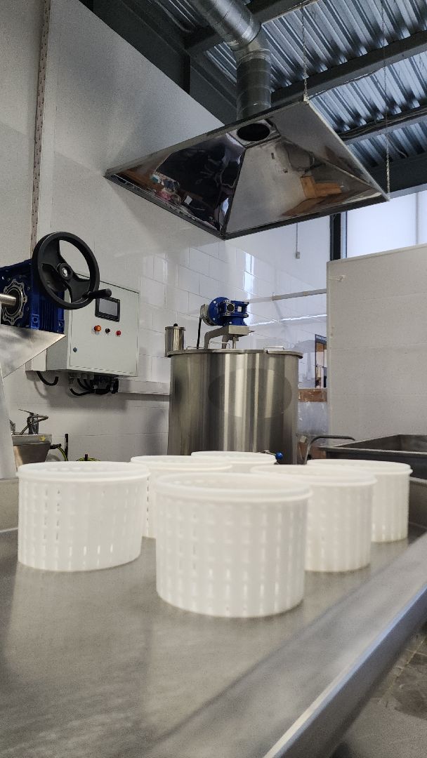 электросталь, электростальский колледж, сыроварня, сыроварня в Электростали, сыроварня Дона Гаспаре, обучение студентов, производственная практика, практика студентов,