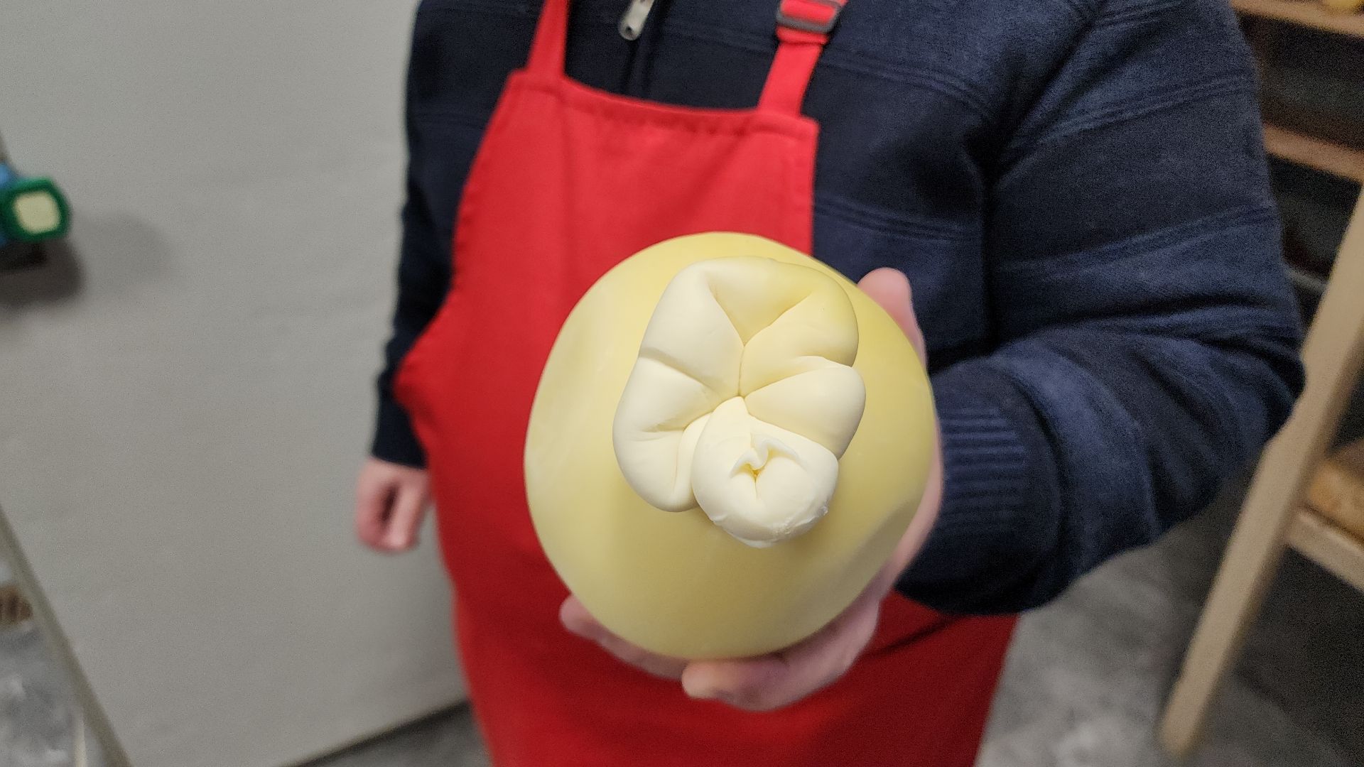 электросталь, электростальский колледж, сыроварня, сыроварня в Электростали, сыроварня Дона Гаспаре, обучение студентов, производственная практика, практика студентов,