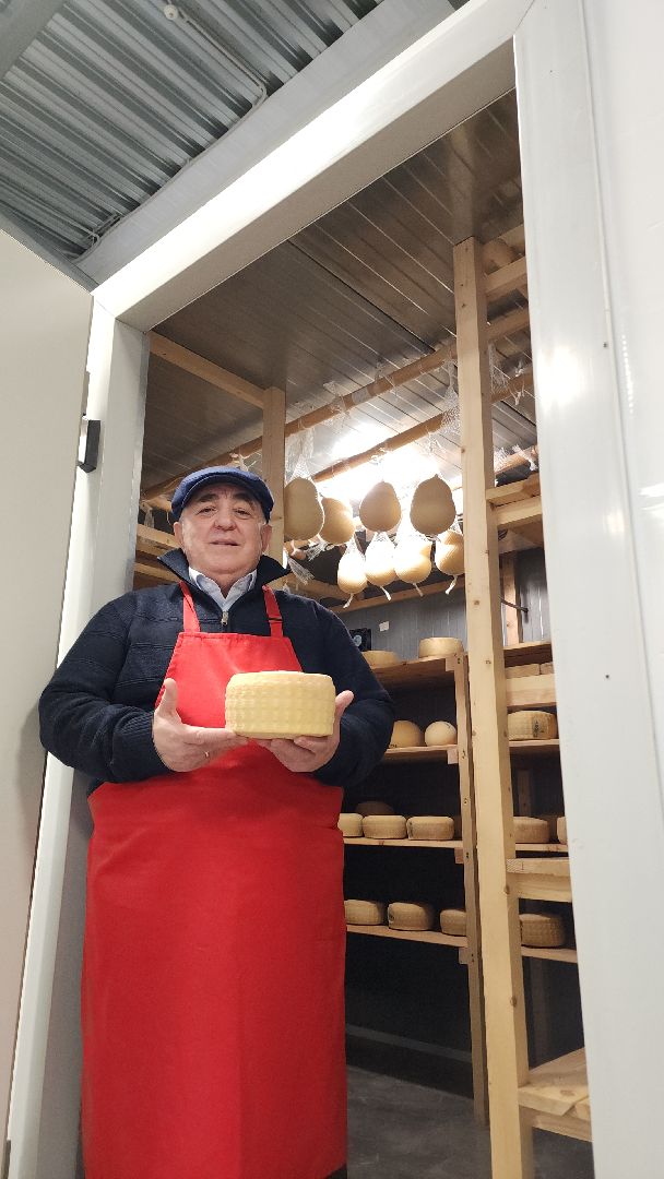 электросталь, электростальский колледж, сыроварня, сыроварня в Электростали, сыроварня Дона Гаспаре, обучение студентов, производственная практика, практика студентов,