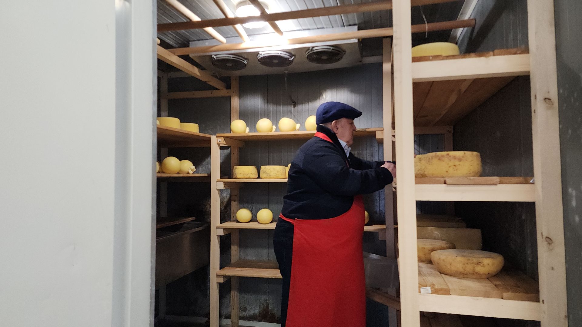 электросталь, электростальский колледж, сыроварня, сыроварня в Электростали, сыроварня Дона Гаспаре, обучение студентов, производственная практика, практика студентов,