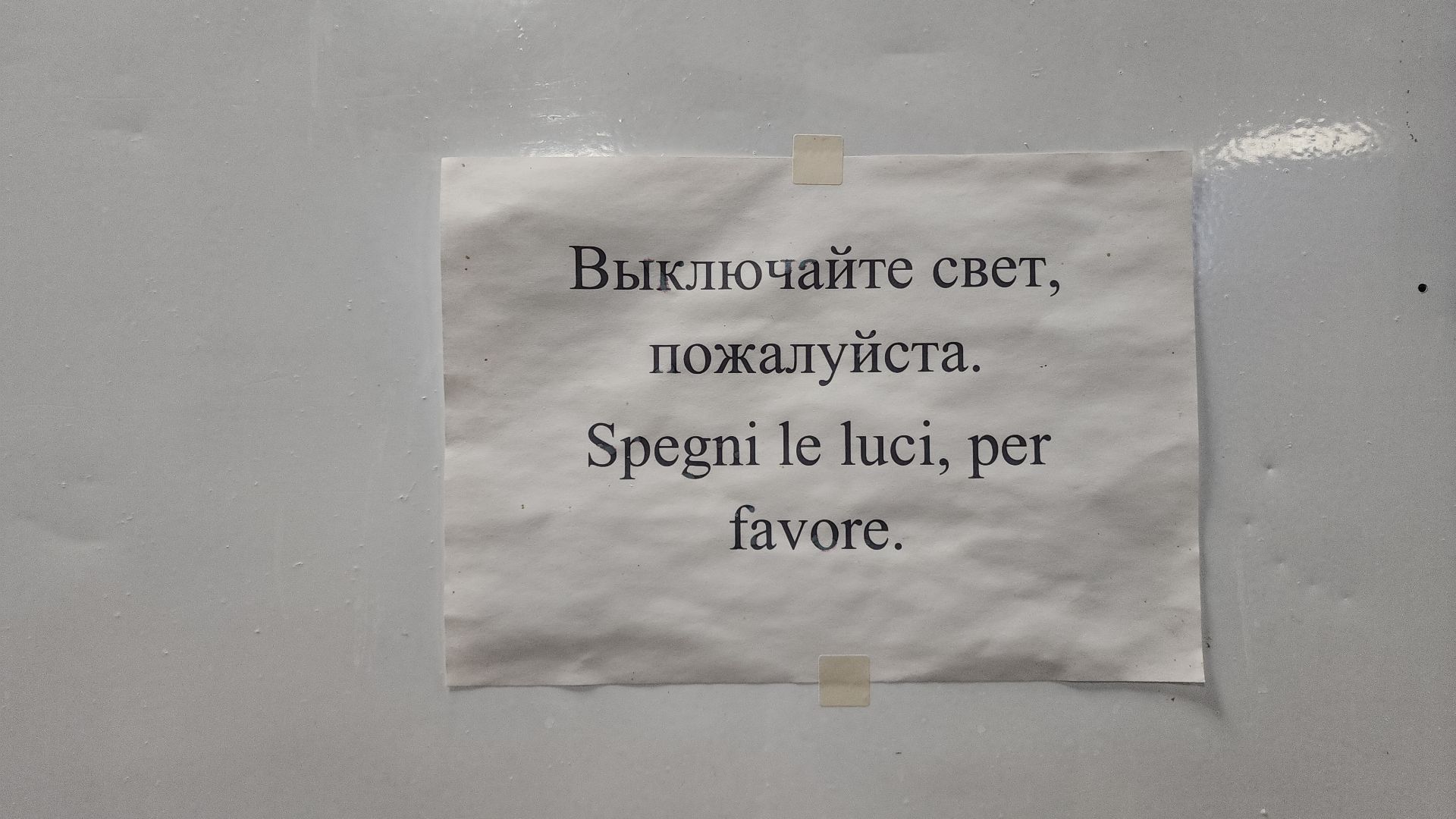 электросталь, электростальский колледж, сыроварня, сыроварня в Электростали, сыроварня Дона Гаспаре, обучение студентов, производственная практика, практика студентов,