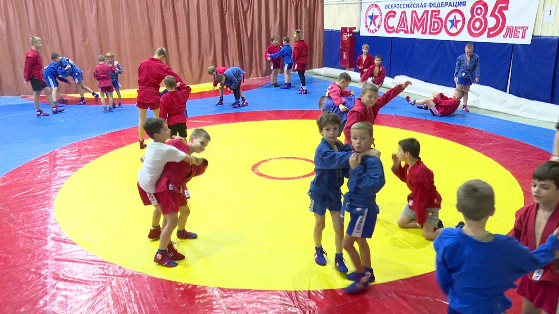 вертикалки,