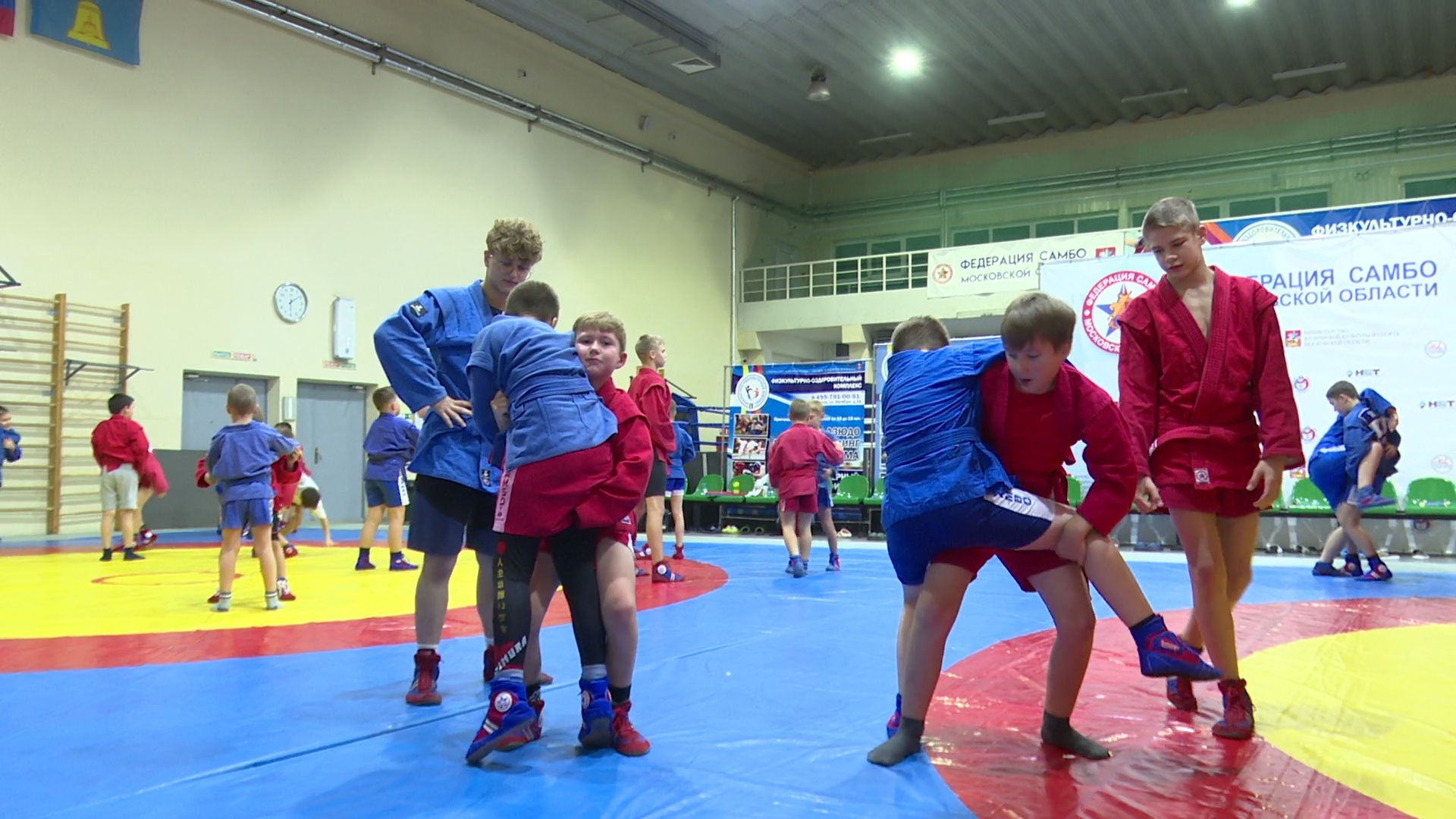 вертикалки,