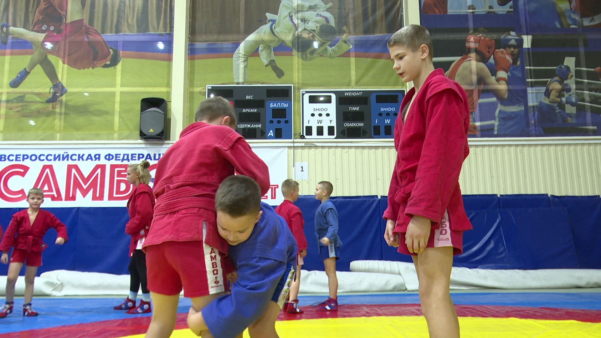 вертикалки,