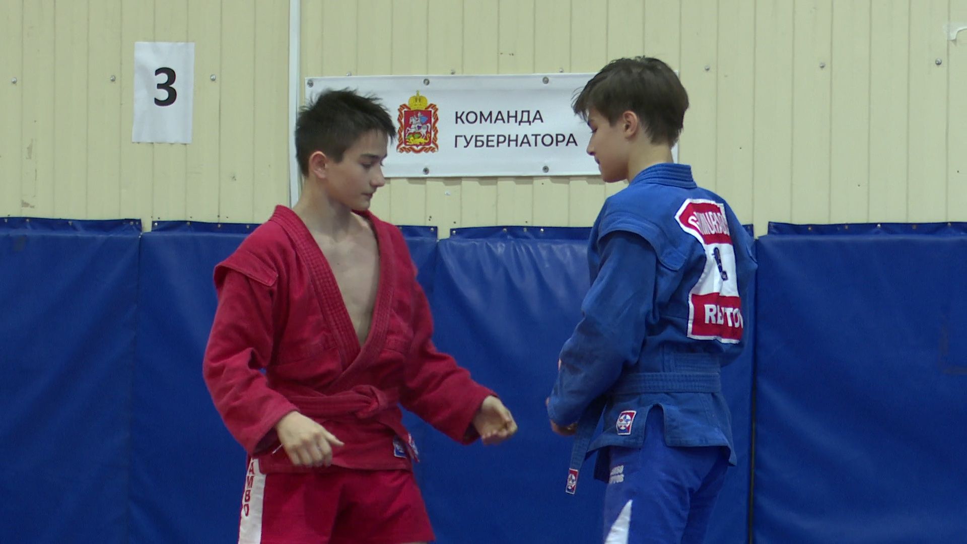 вертикалки,