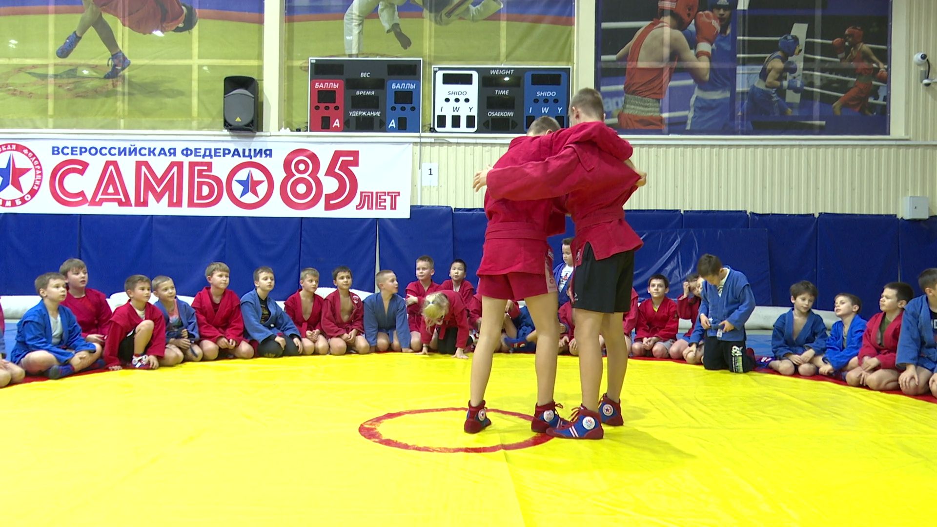 вертикалки,