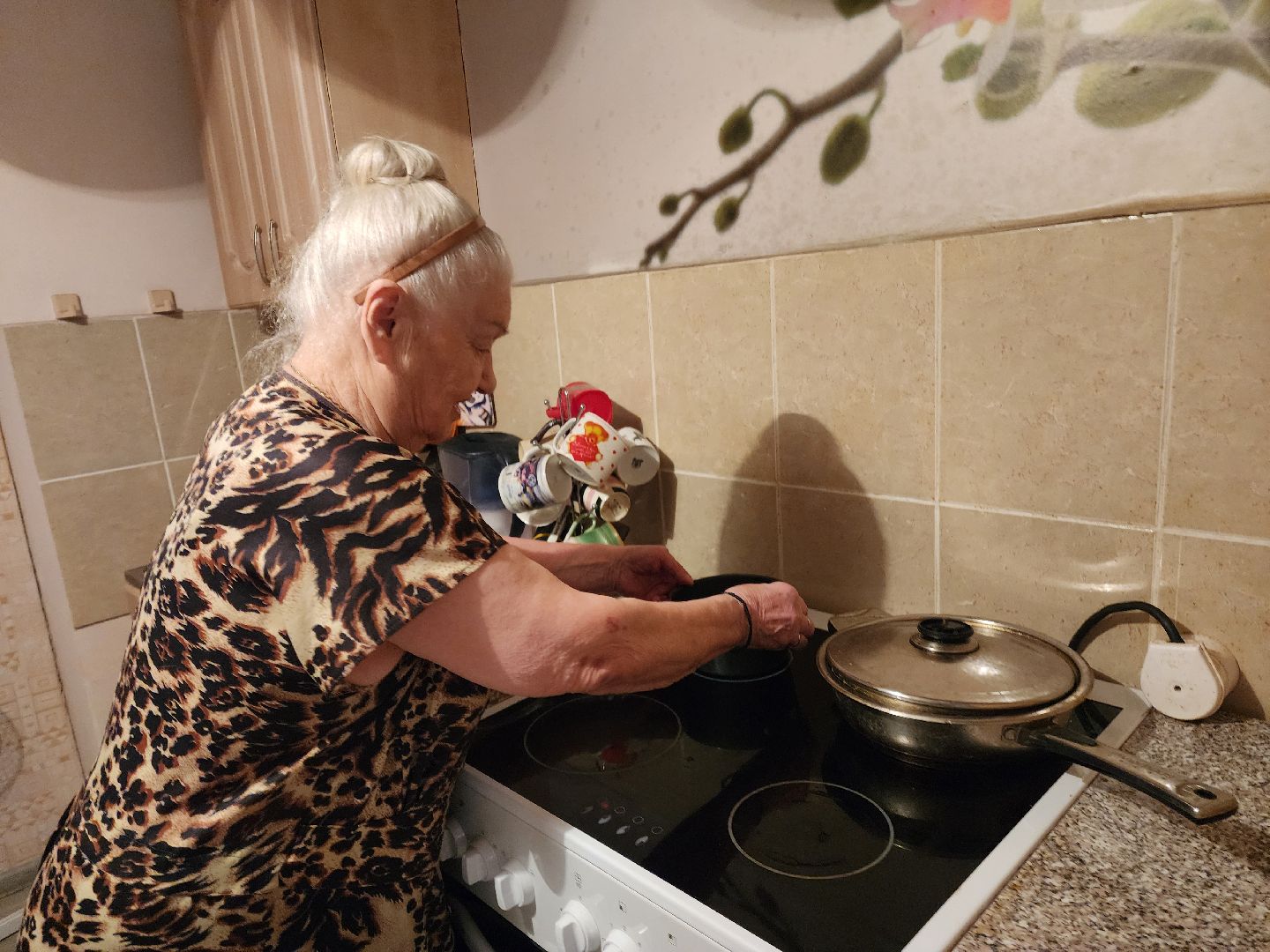 выездная администрация, обращение жителей, новая электроплита, отработка обращений, вертикалка,