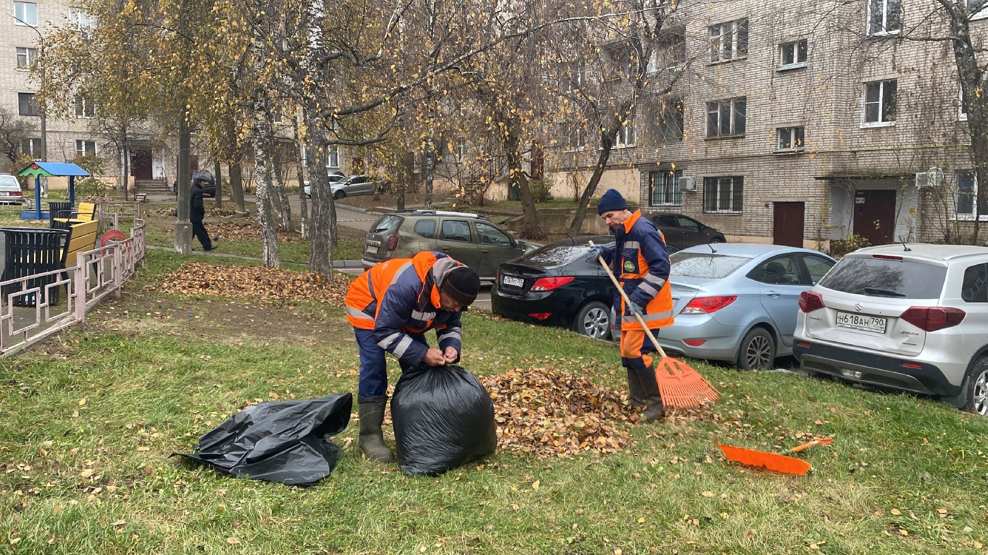 Листва, уборка двора, Уборка листьев, вертикалки,
